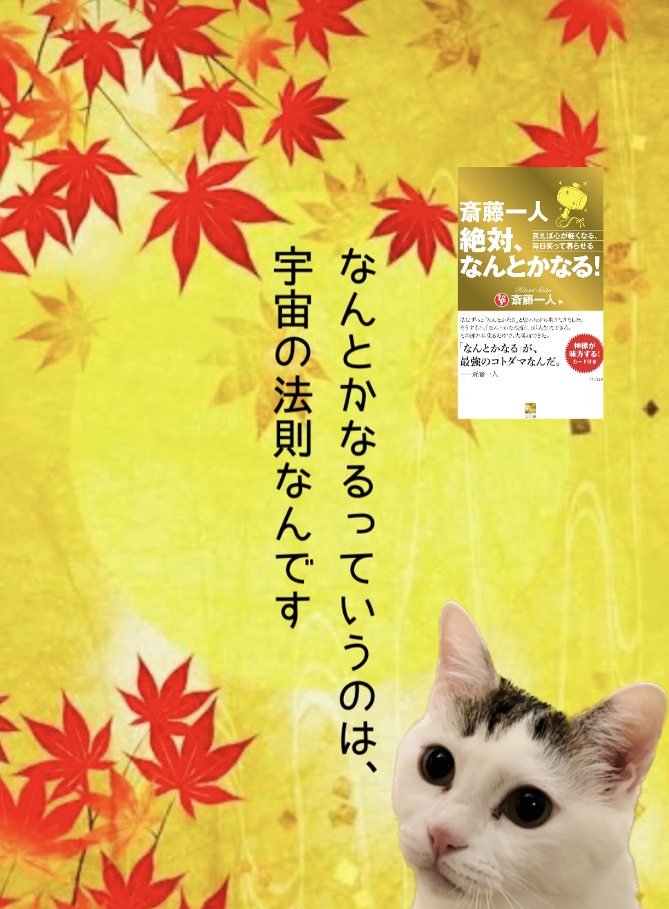 なんとかなるっていうのは、宇宙の法則なんです