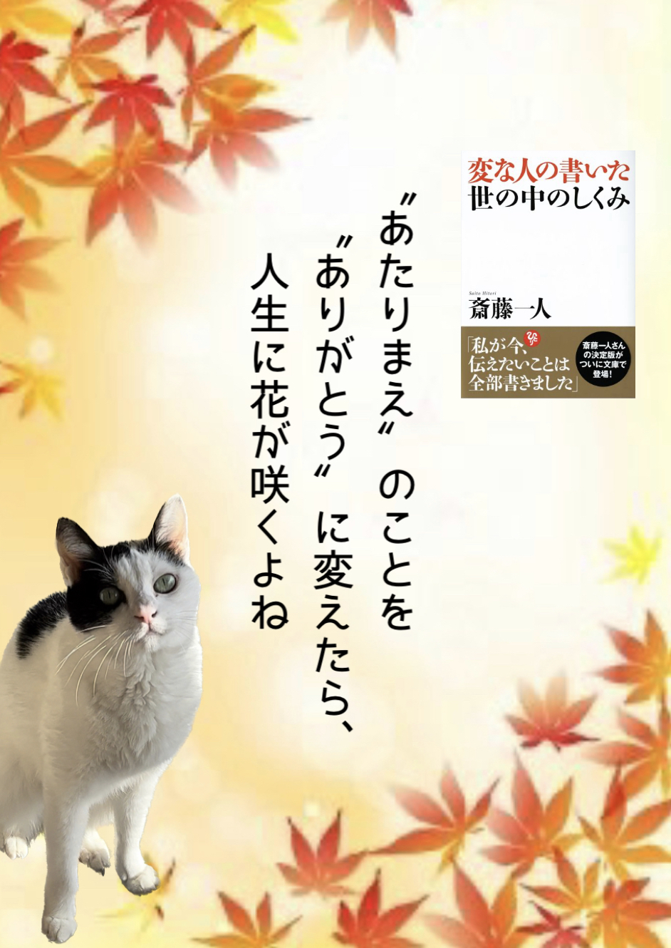 “あたりまえ”のことを“ありがとう”に変えたら、人生に花が咲くよね
