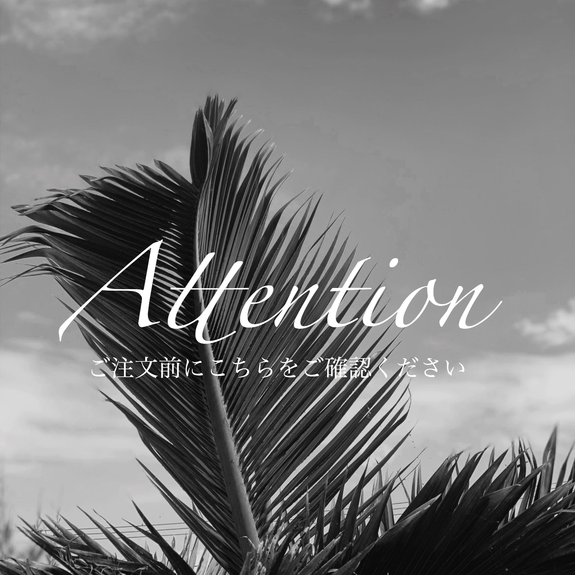 ご注文前にこちらをご確認ください