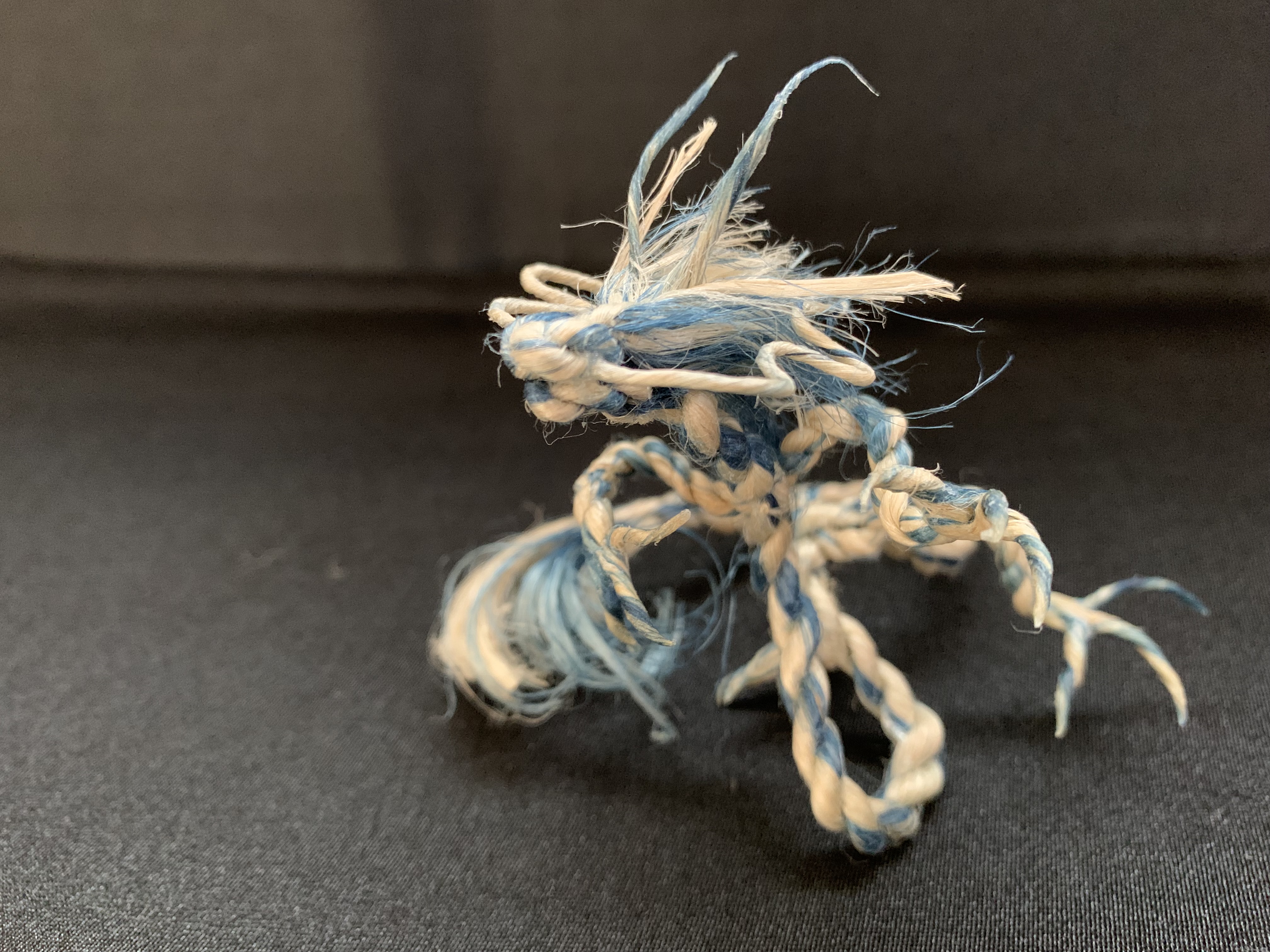 青龍　ご縁をいただきました