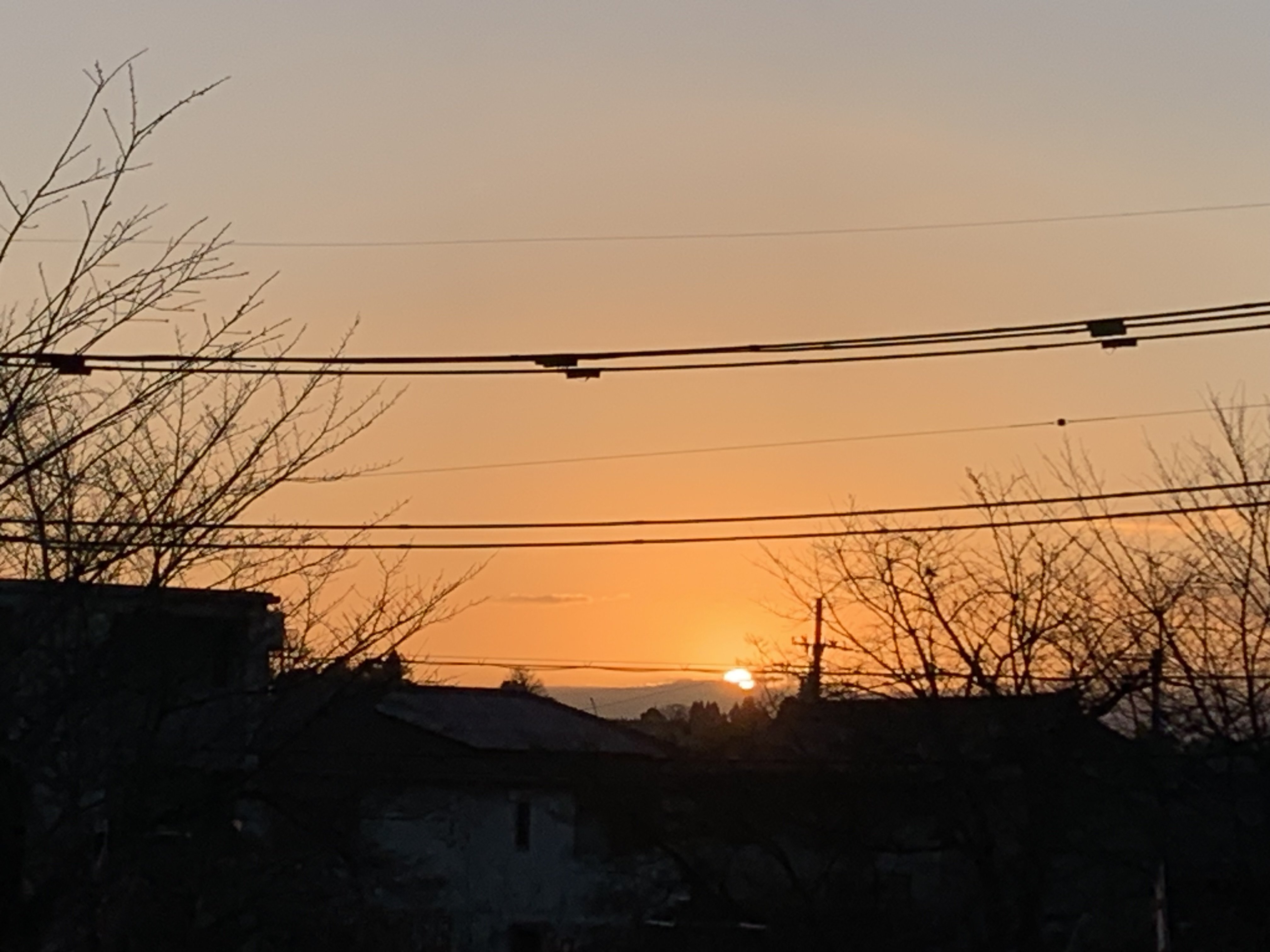 今年もよろしくお願いします。