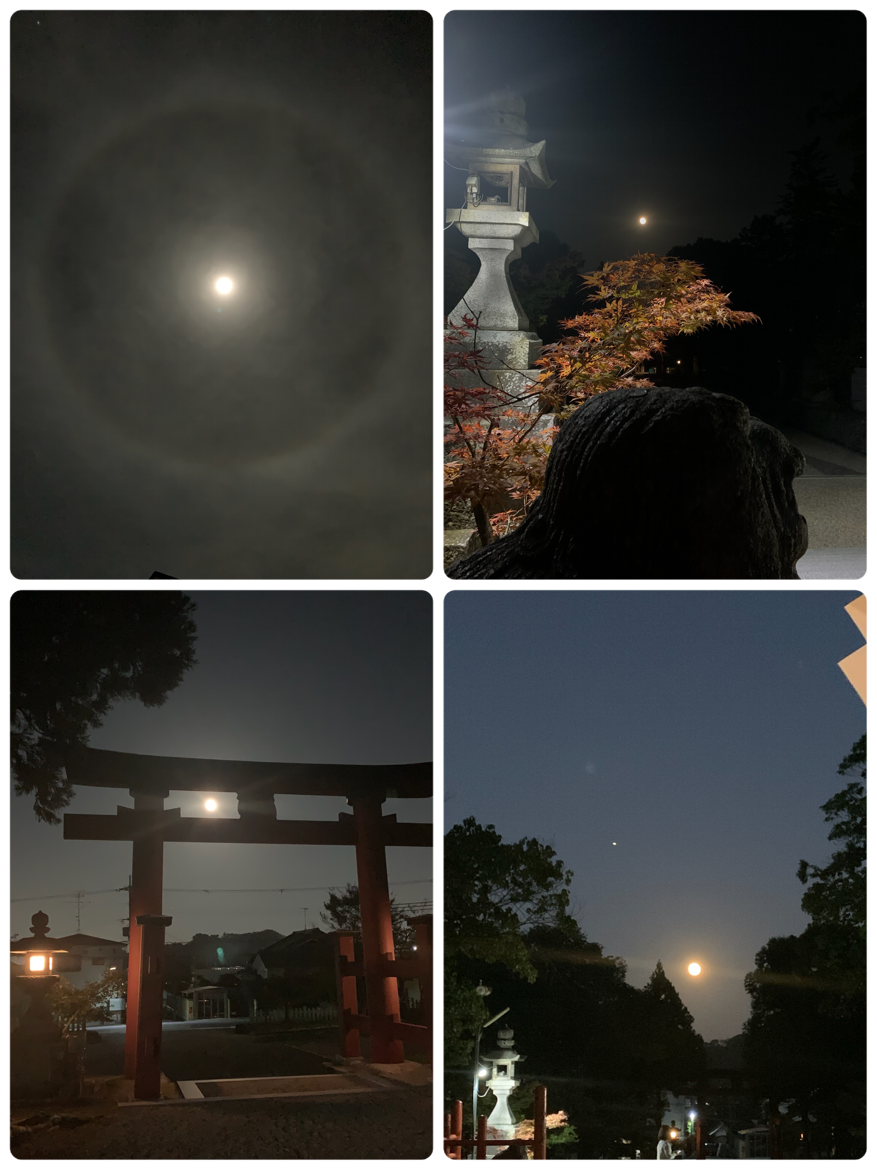 中秋の名月