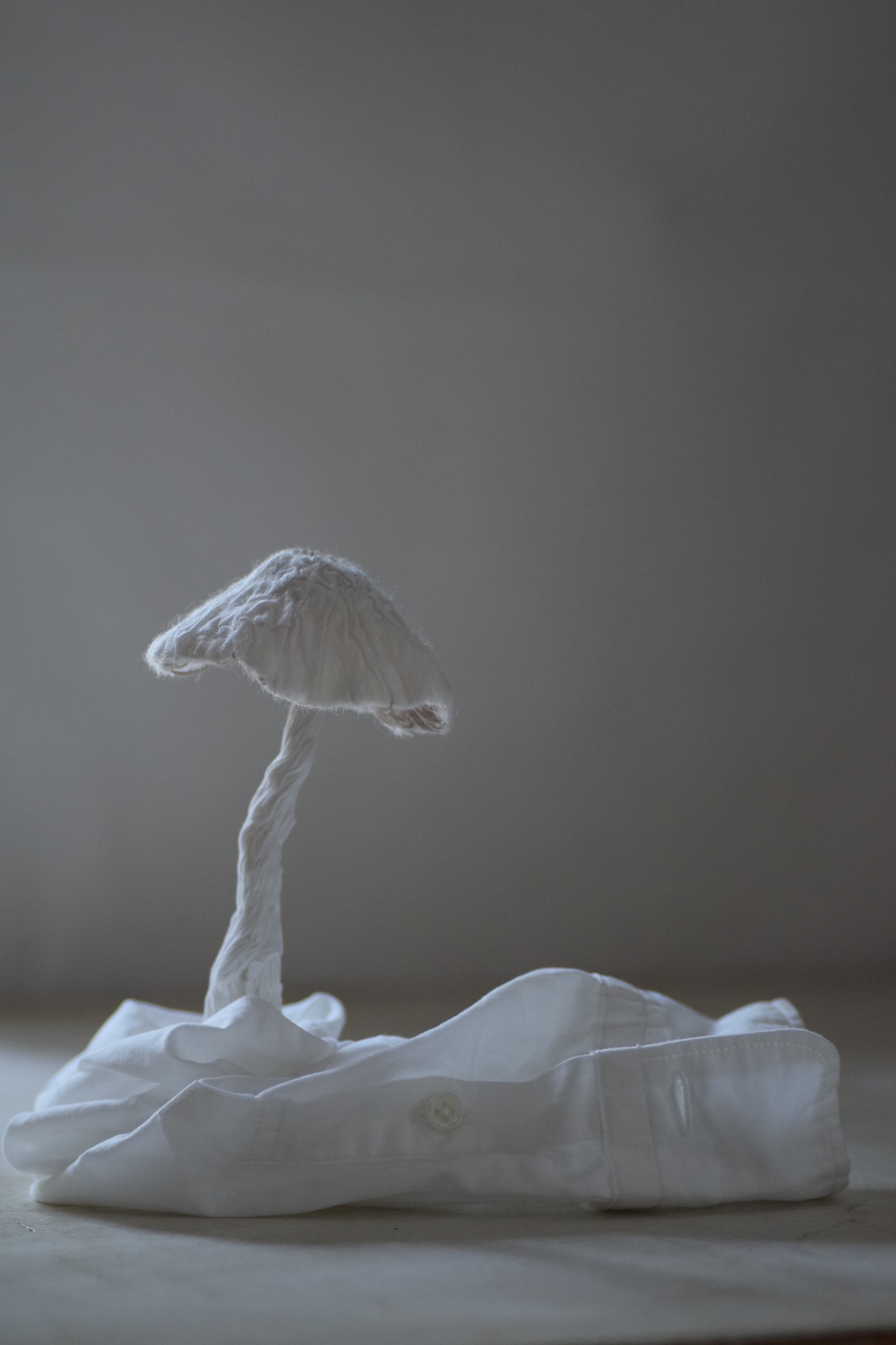 2025/11.1(sat)~9(sun) 山本彌 個展 「Echo」開催のお知らせ