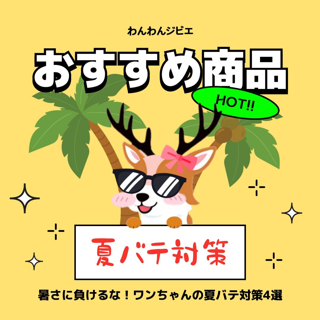 夏バテ気味のワンちゃんに!おすすめ商品