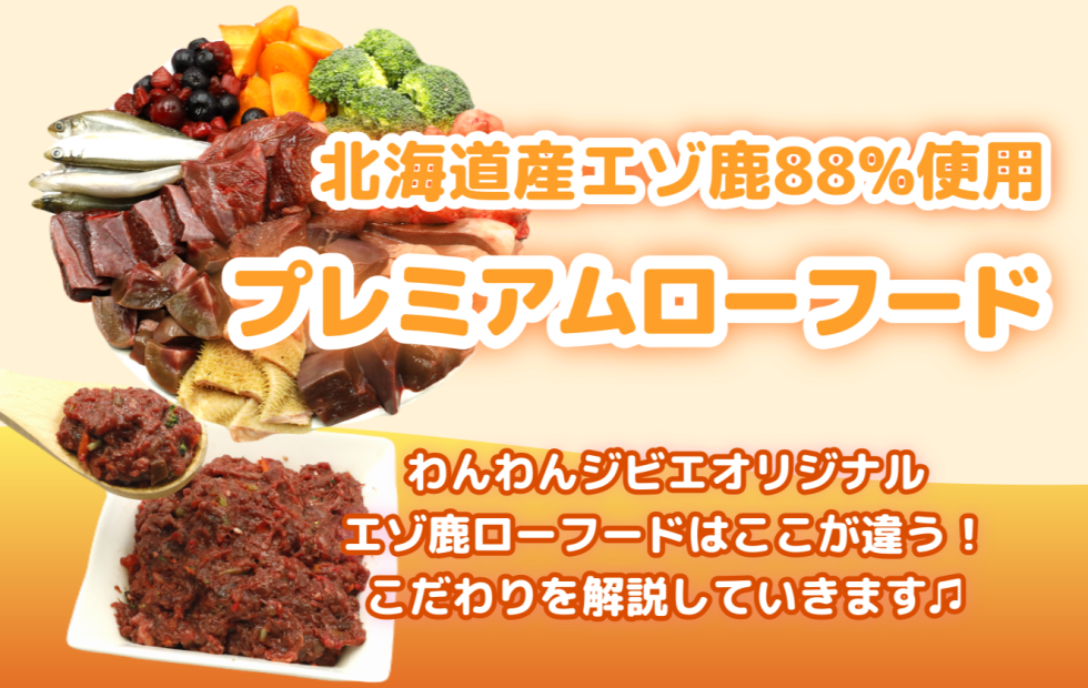 ワンちゃんにとって最高のごはん！ローフード(生食)が与える素晴らしい効果