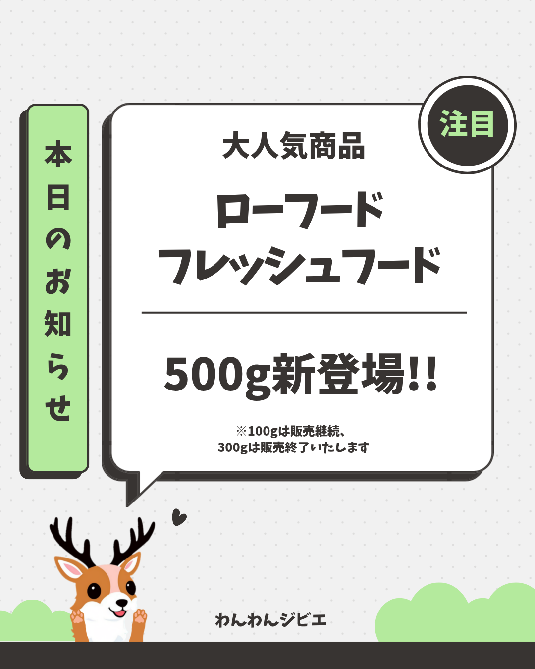 ローフード/フレッシュフード500g新登場!