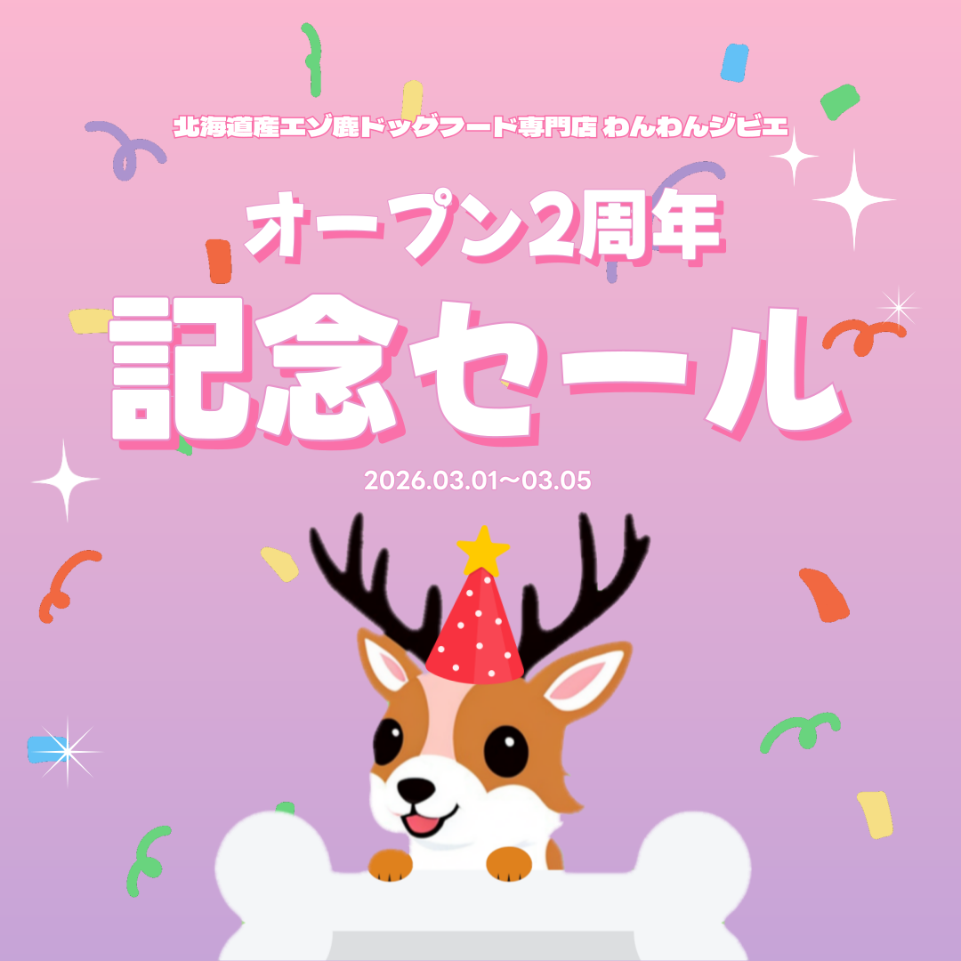 3/1で2周年💫周年セール&3月のイベント