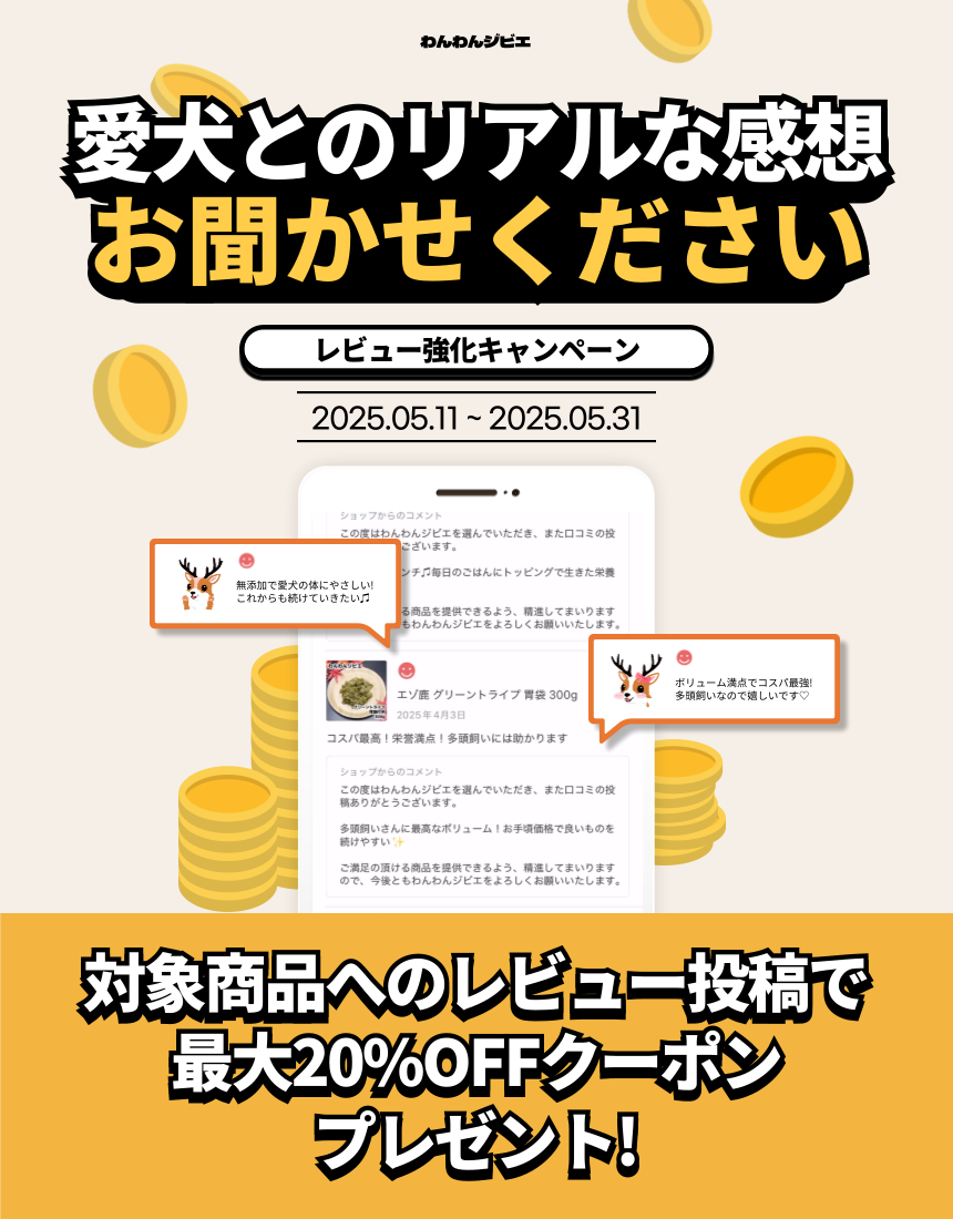 ✏️対象商品へのレビュー投稿で最大20%OFFクーポンプレゼント🎁