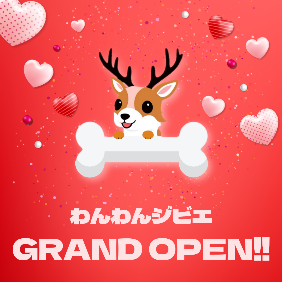 3/1 正式オープンしました！