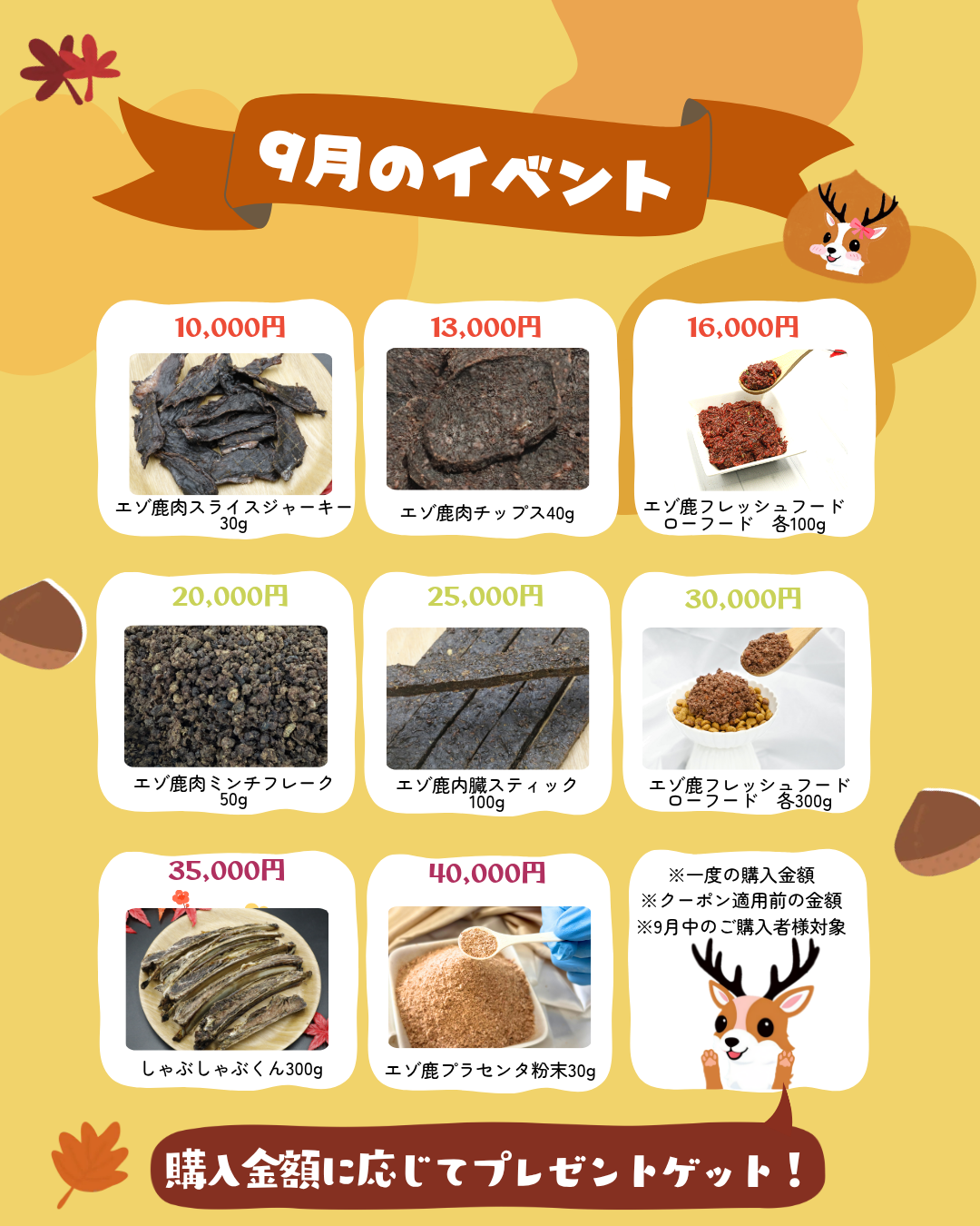 9月のイベント