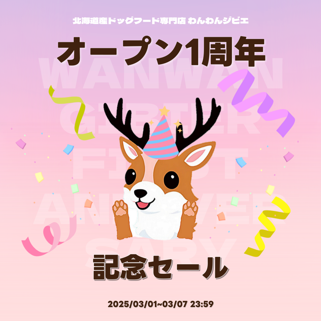 3/1で1周年💫周年セールクーポン