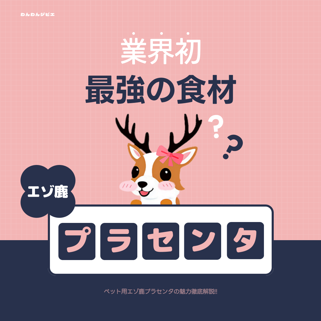 業界初!?ペット用エゾ鹿プラセンタ発売!!