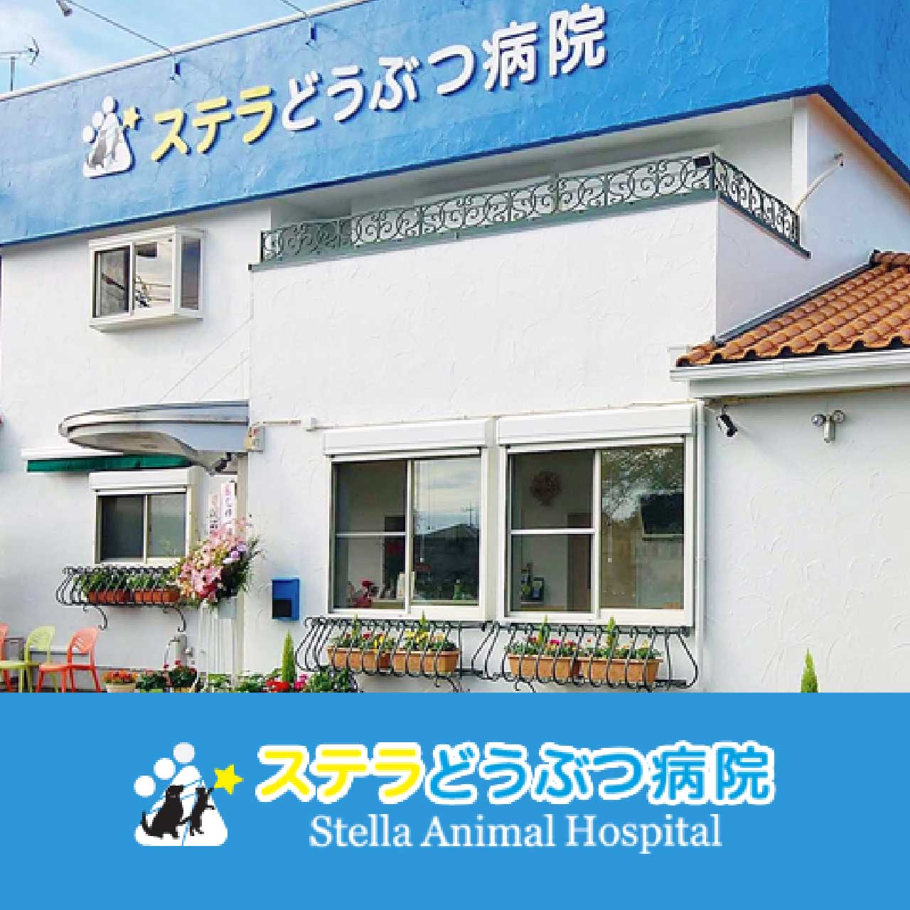 獣医さんから、お墨付きをいただきました！