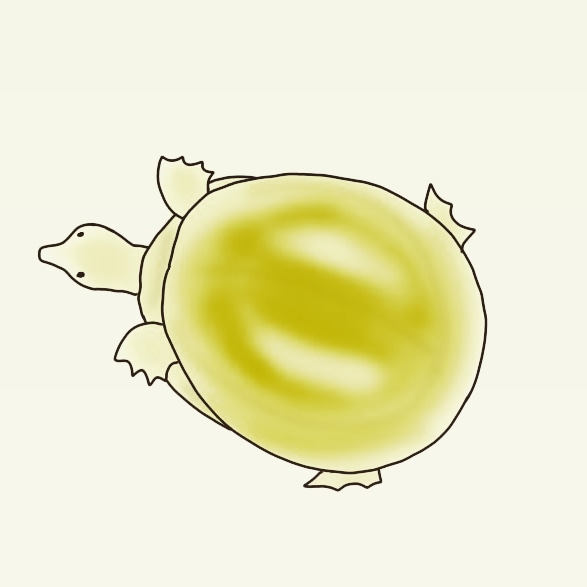 飼われたメスすっぽん