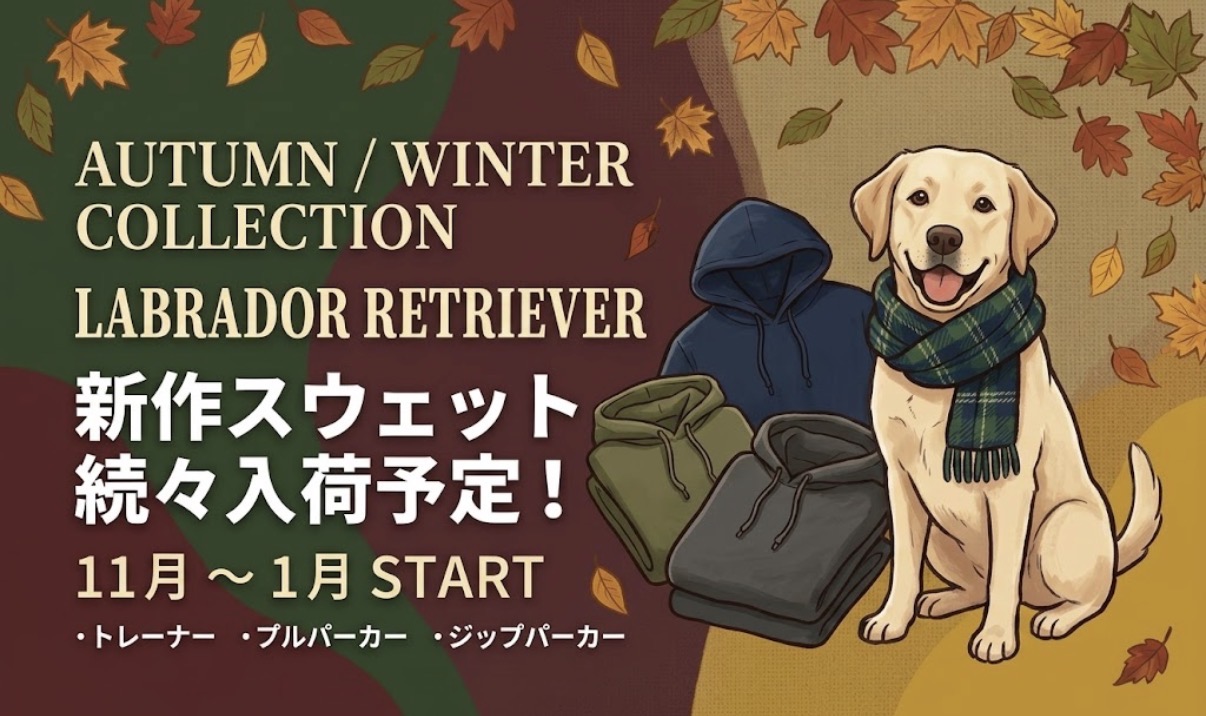 🍂 AUTUMN / WINTER COLLECTION