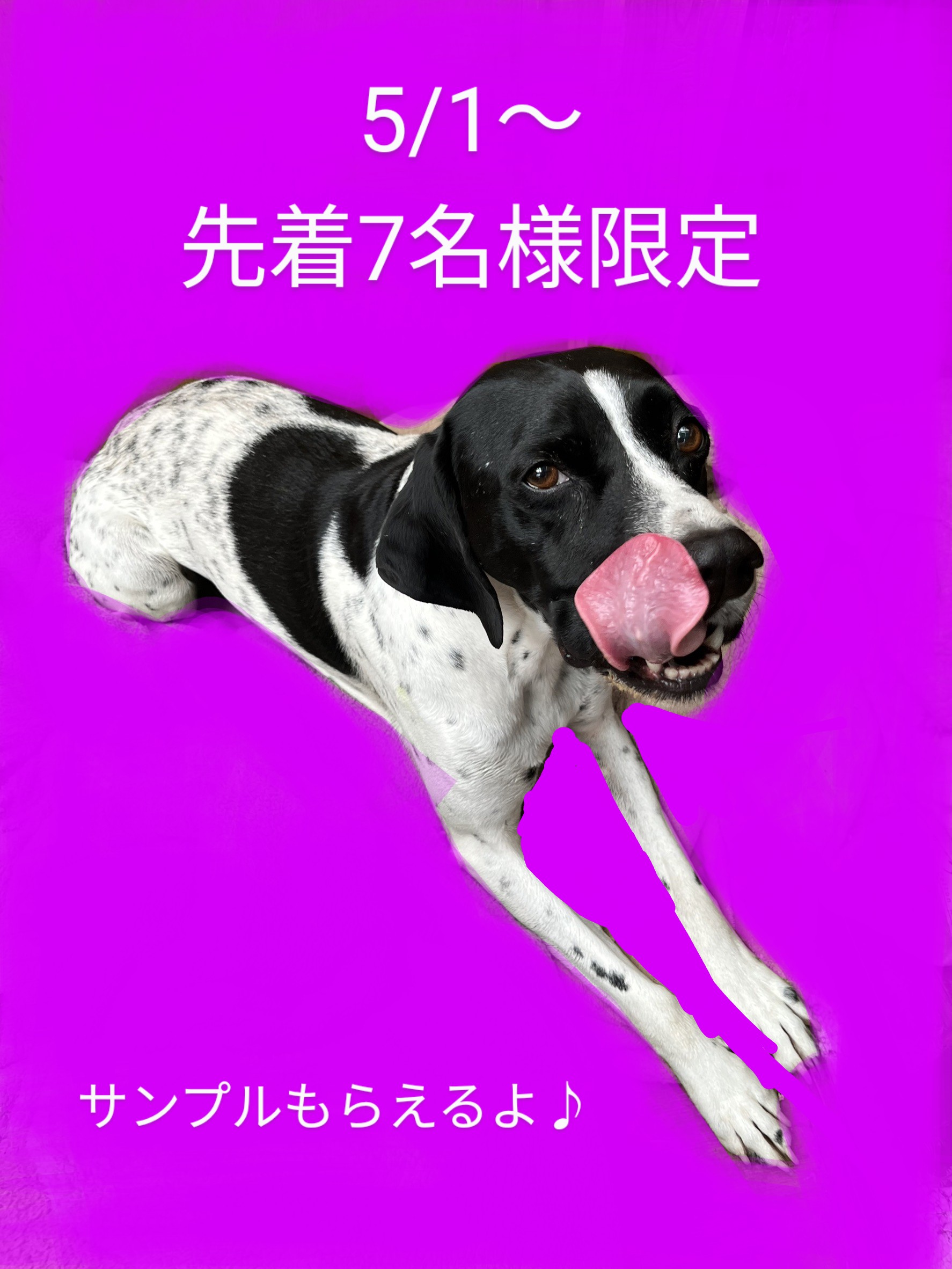 鹿ステーキ120㌘プレゼント🎁