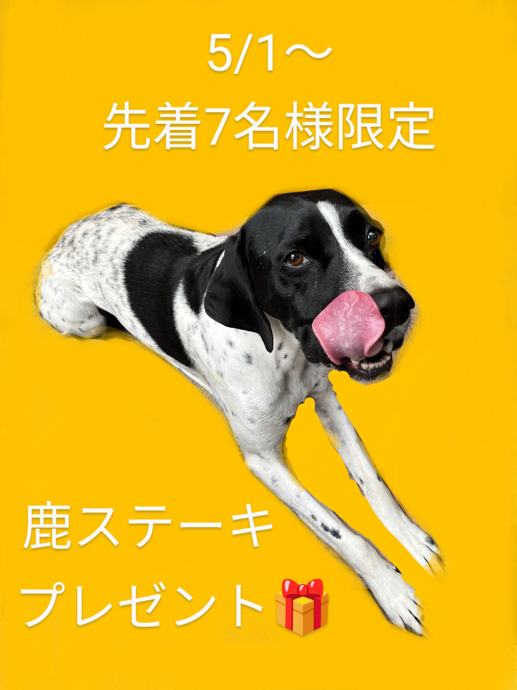鹿ステーキプレゼント🎁