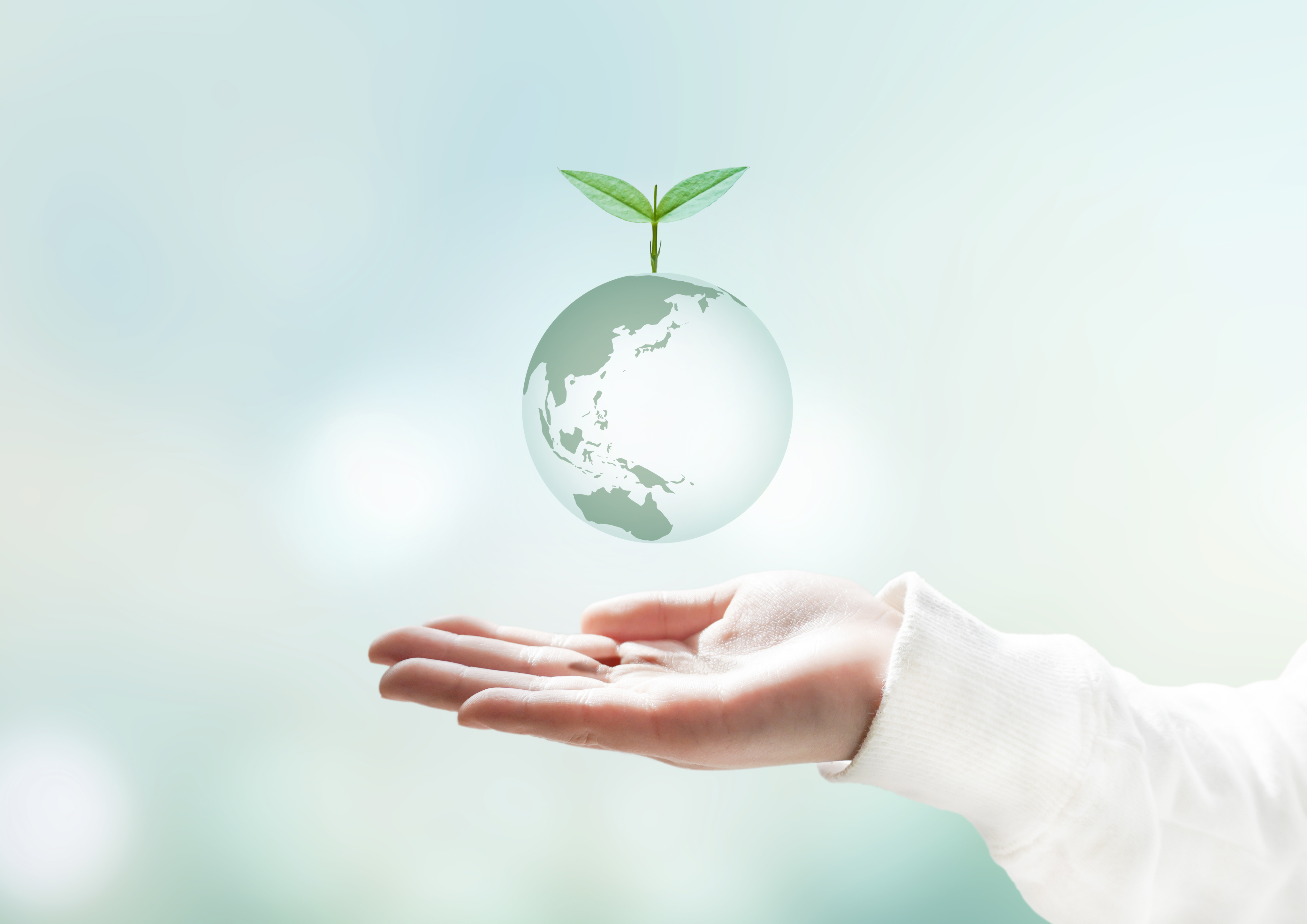 6月5日は環境の日🌏Green Decafが大切にしている“環境へのやさしさ”とは？