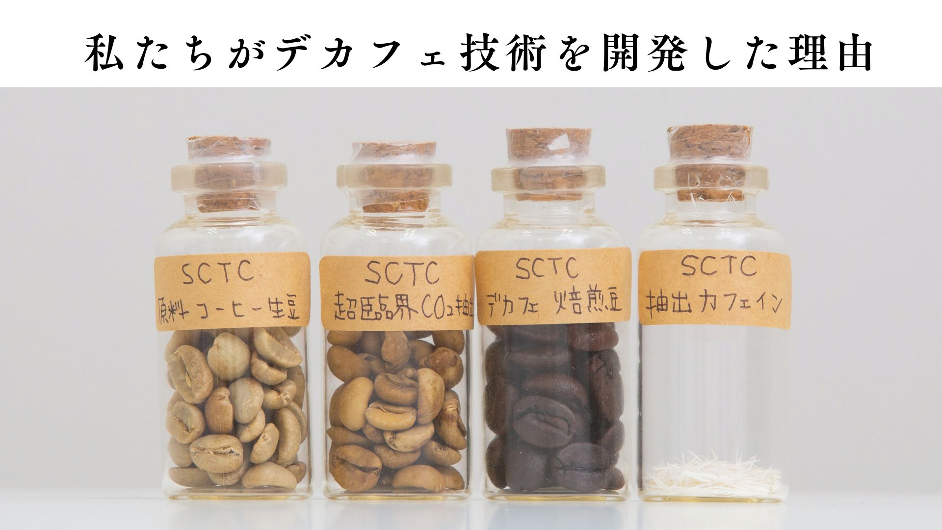 私たちがデカフェ技術を開発した理由