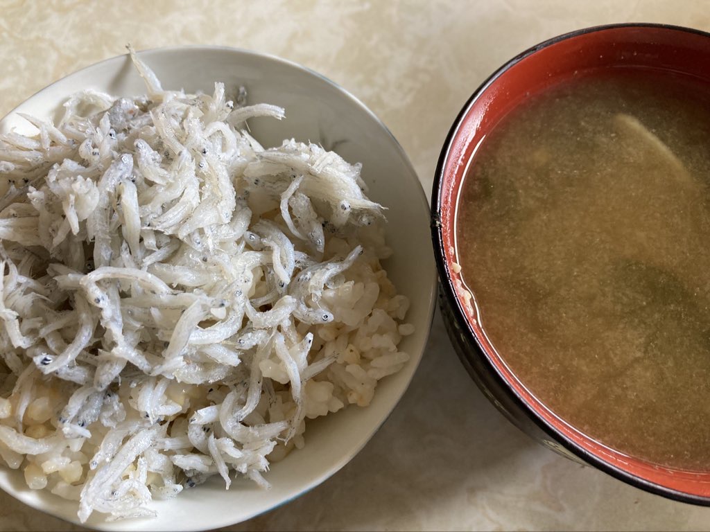 しらすごはん