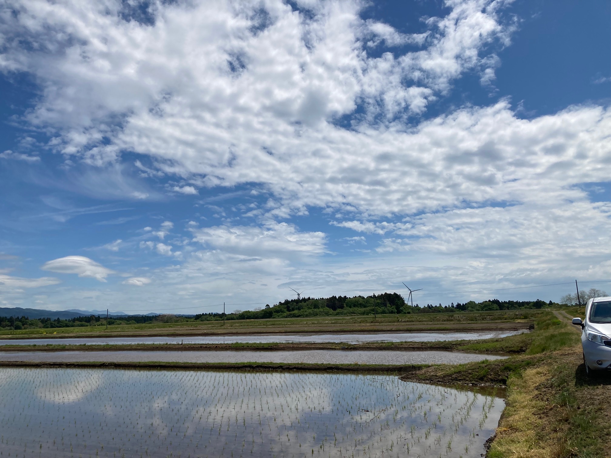 田植えが終わりました