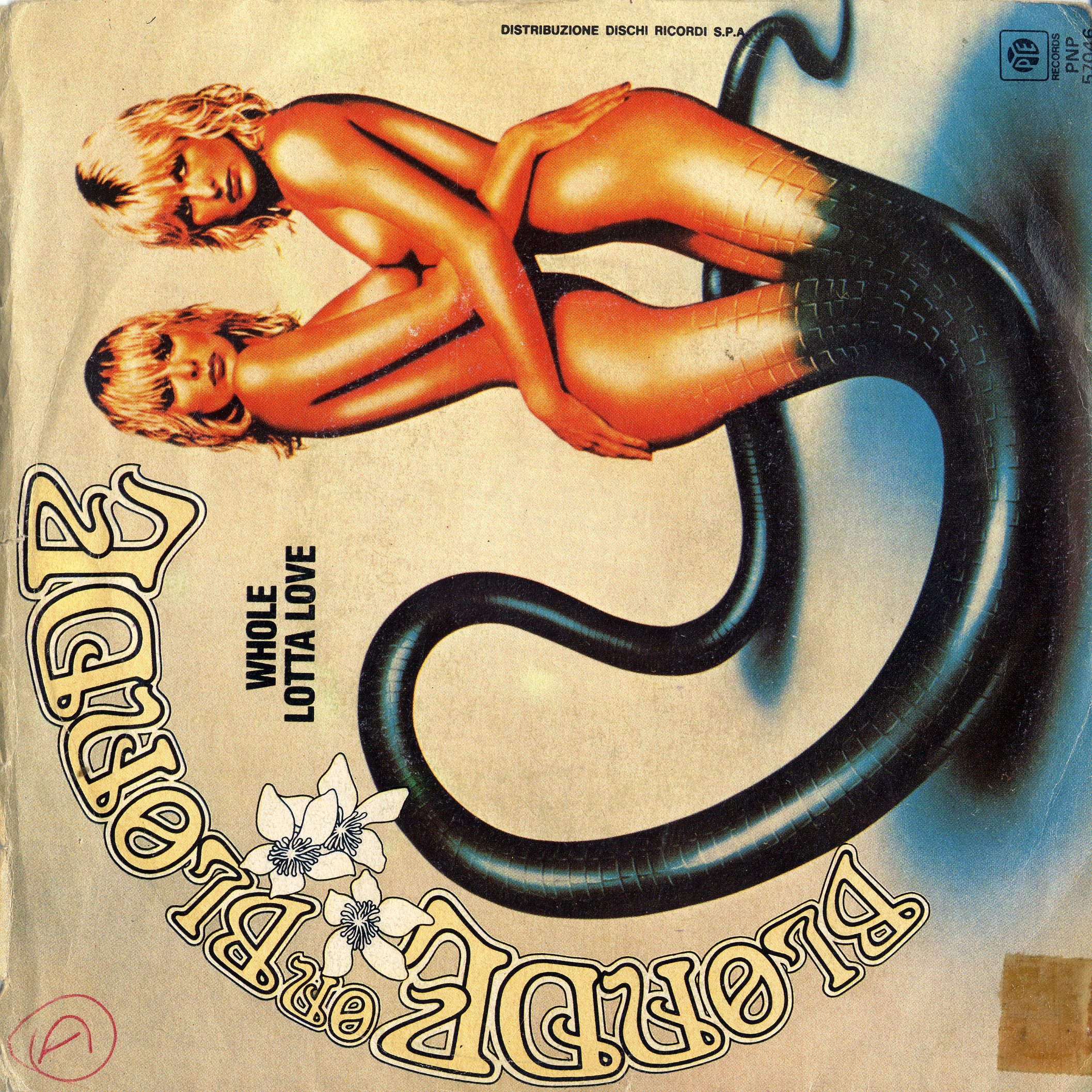 3月第1週 - 次回新入荷予定商品1