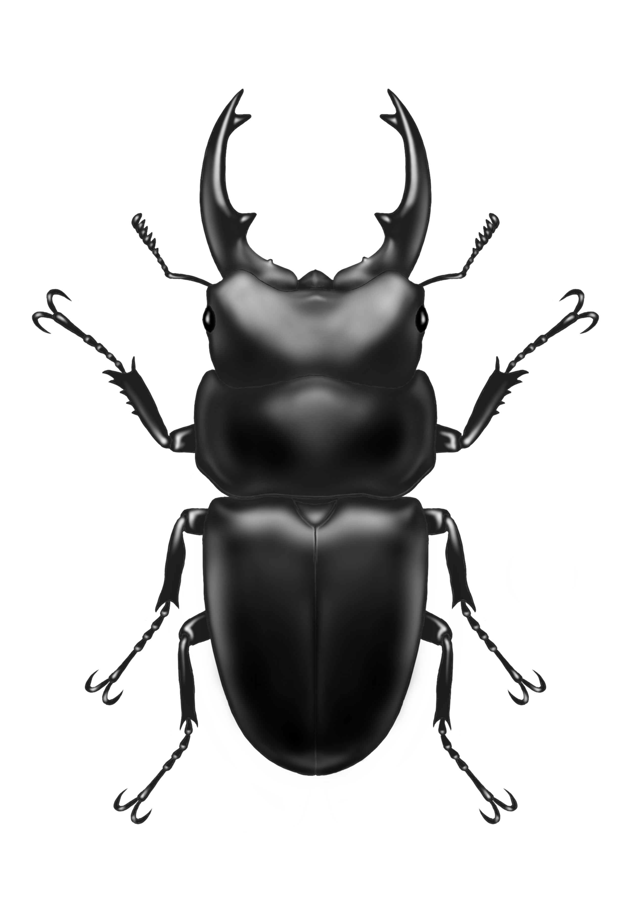 水飲んじゃダメ！も今は昔🙊