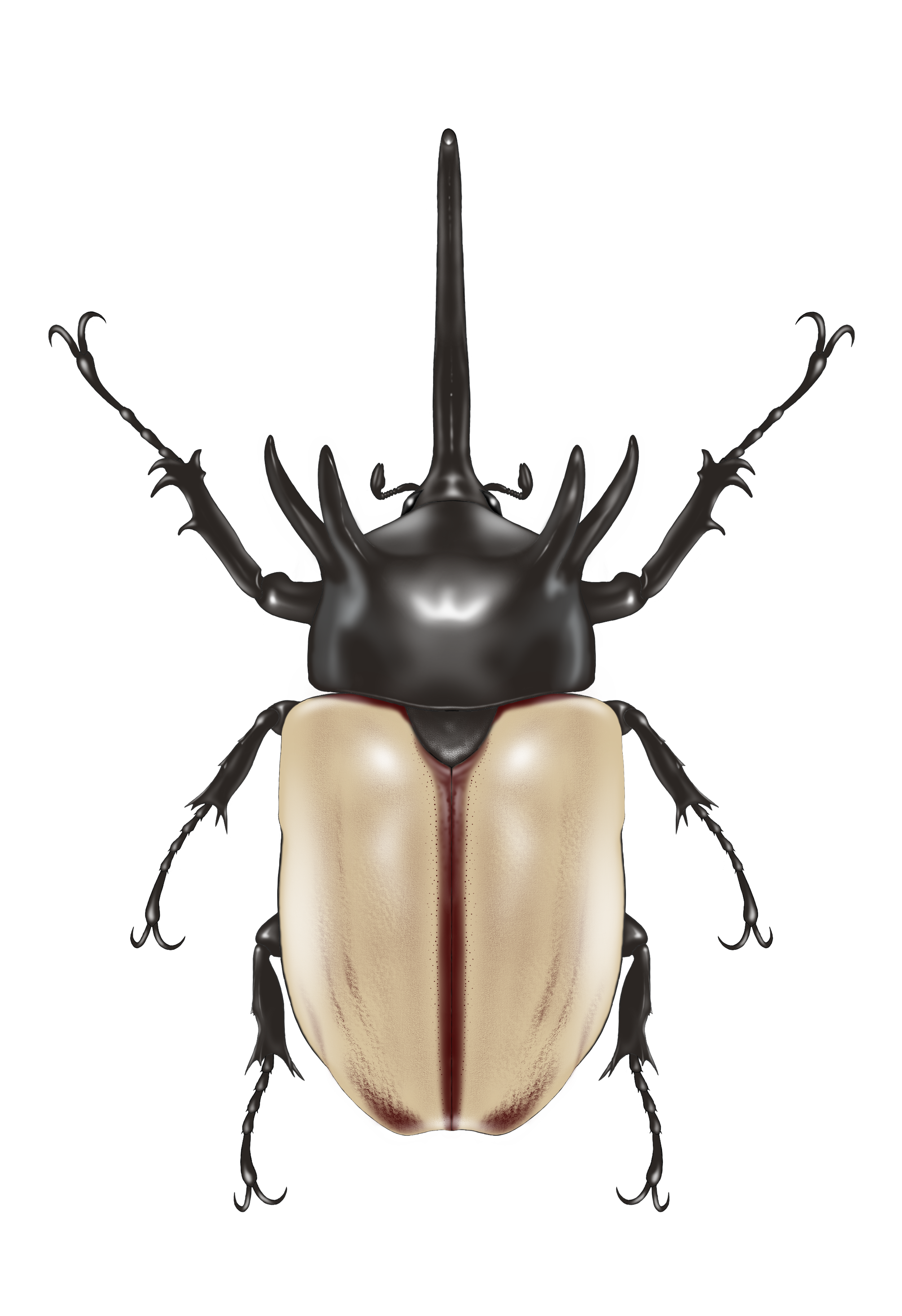 近くて遠いもの🌰