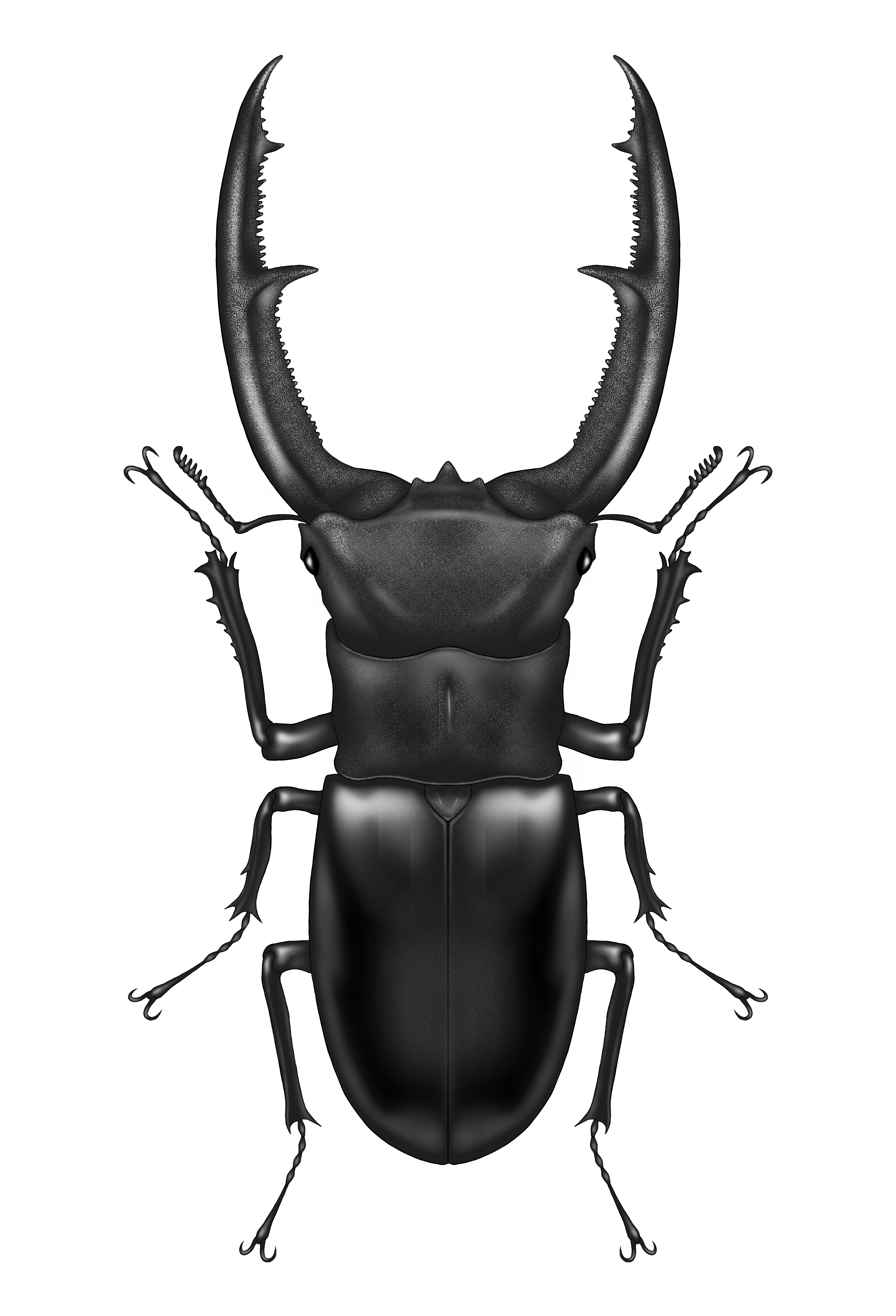 卵で感じるインフレーション🐣