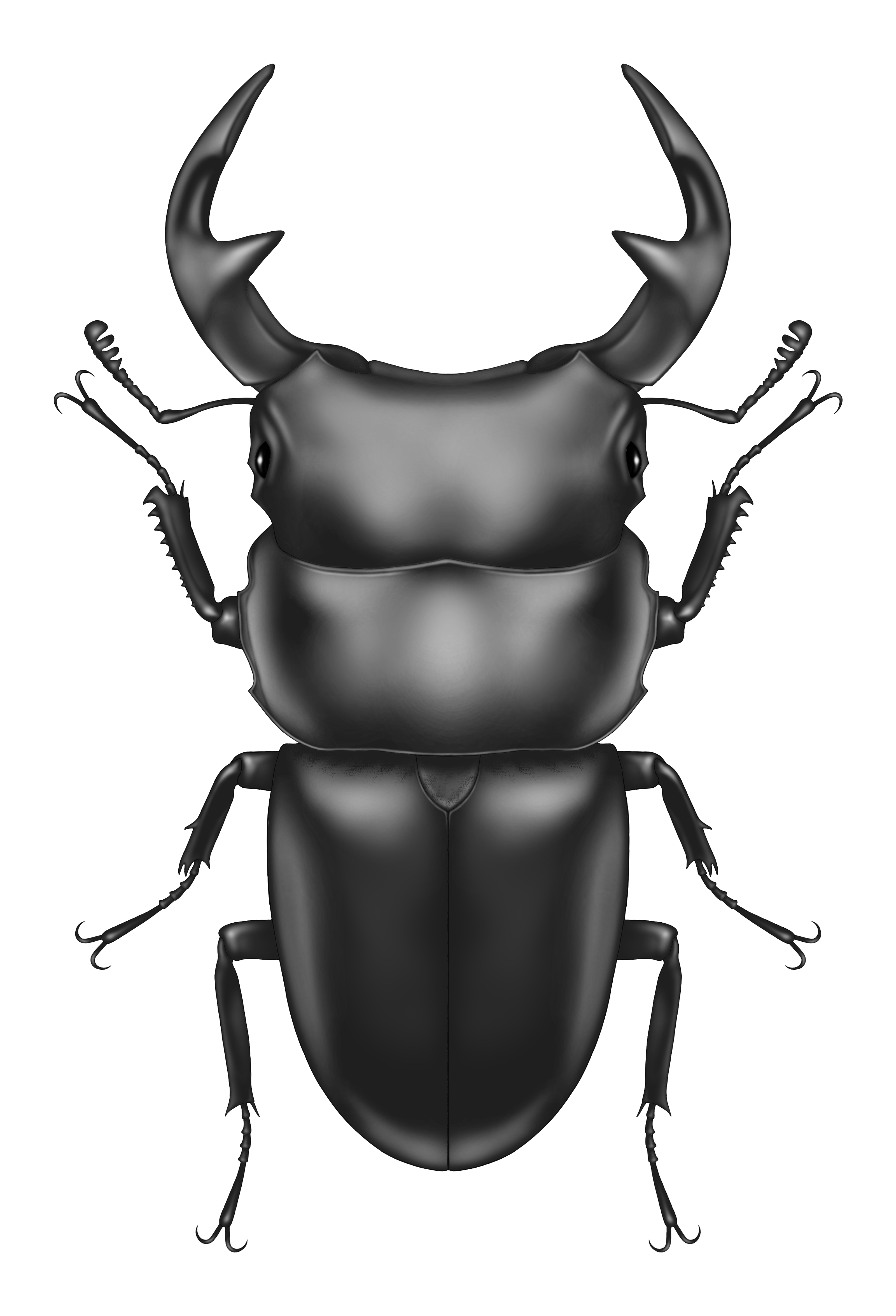 本年もお疲れさまでした♨