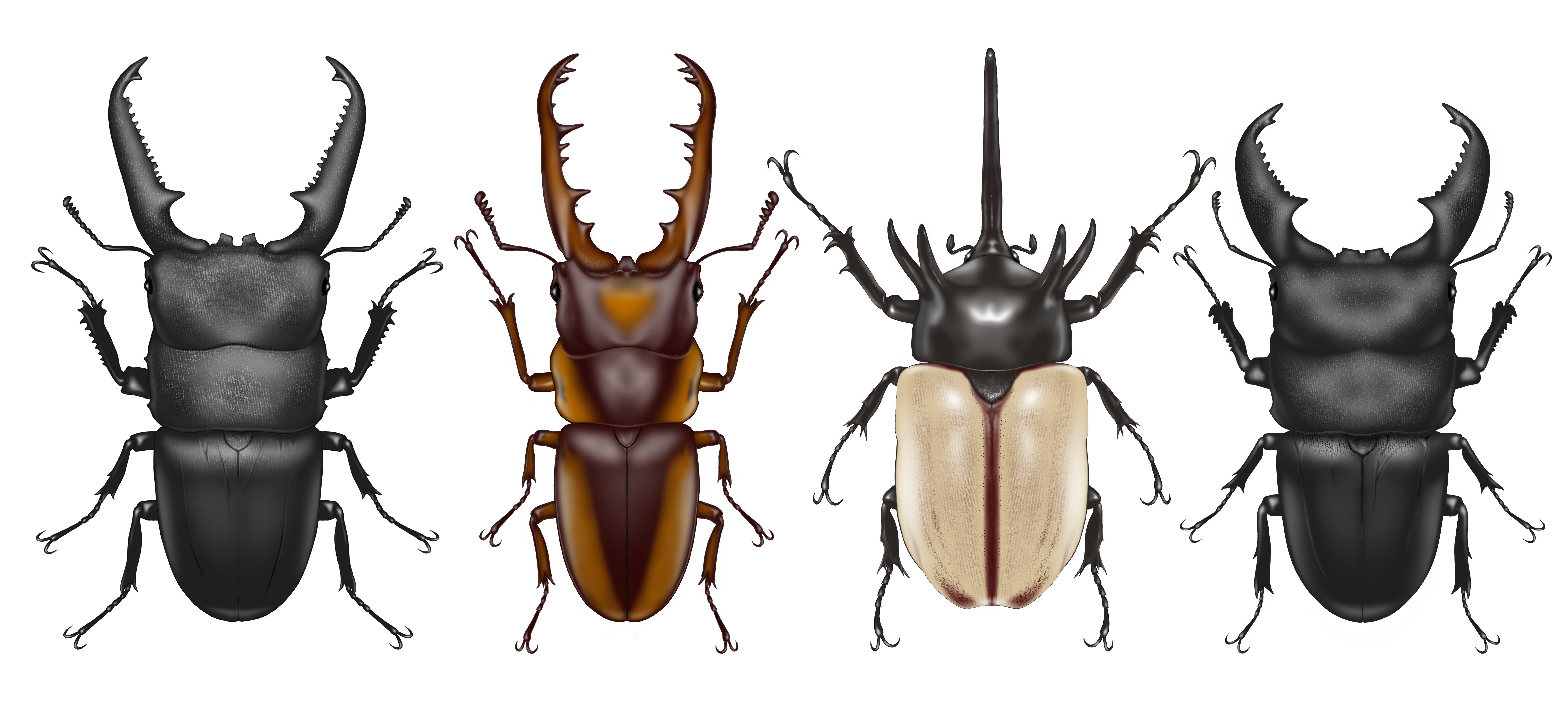 春はもうすぐそこまで🌸