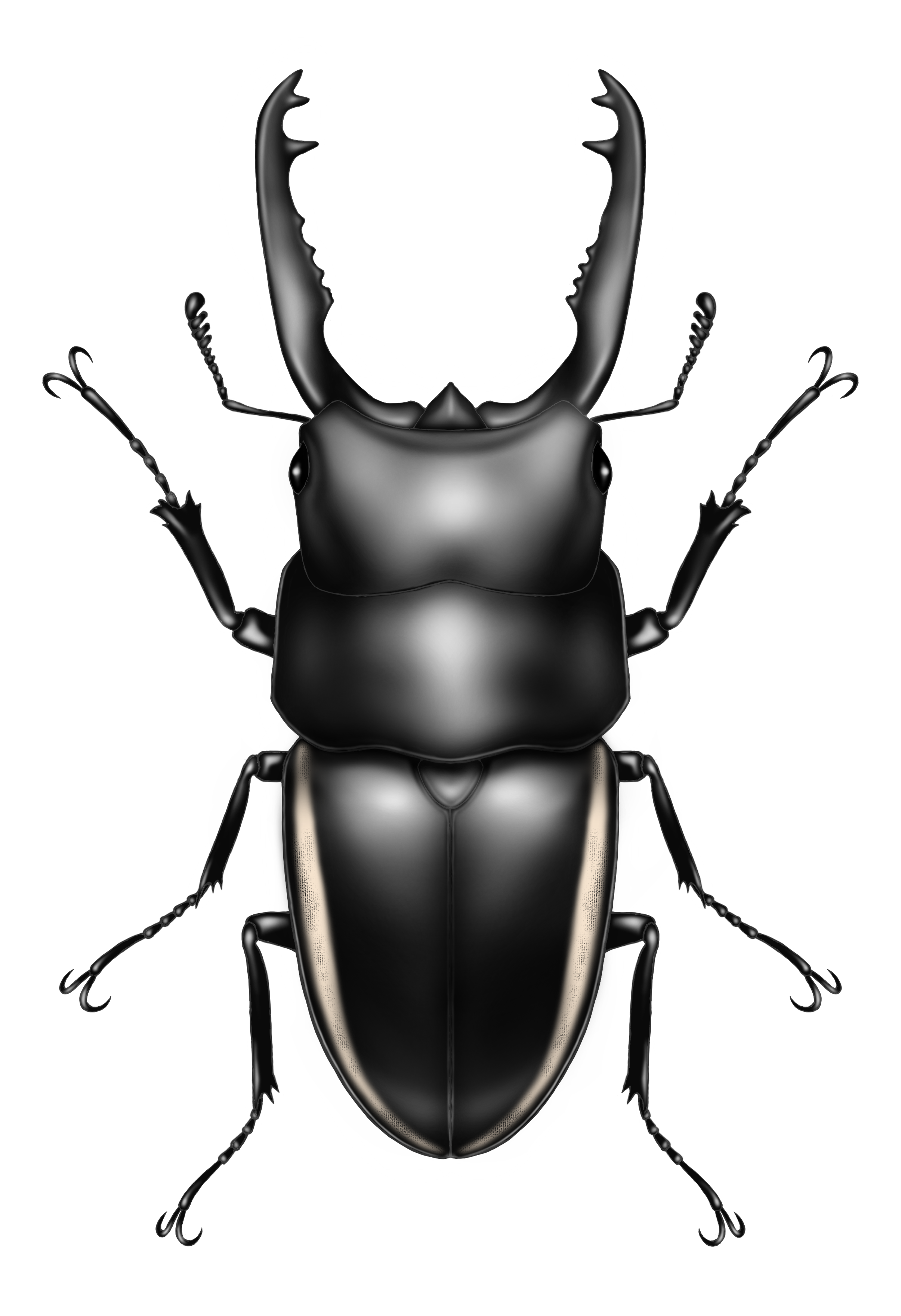 新年度スタートです🐻