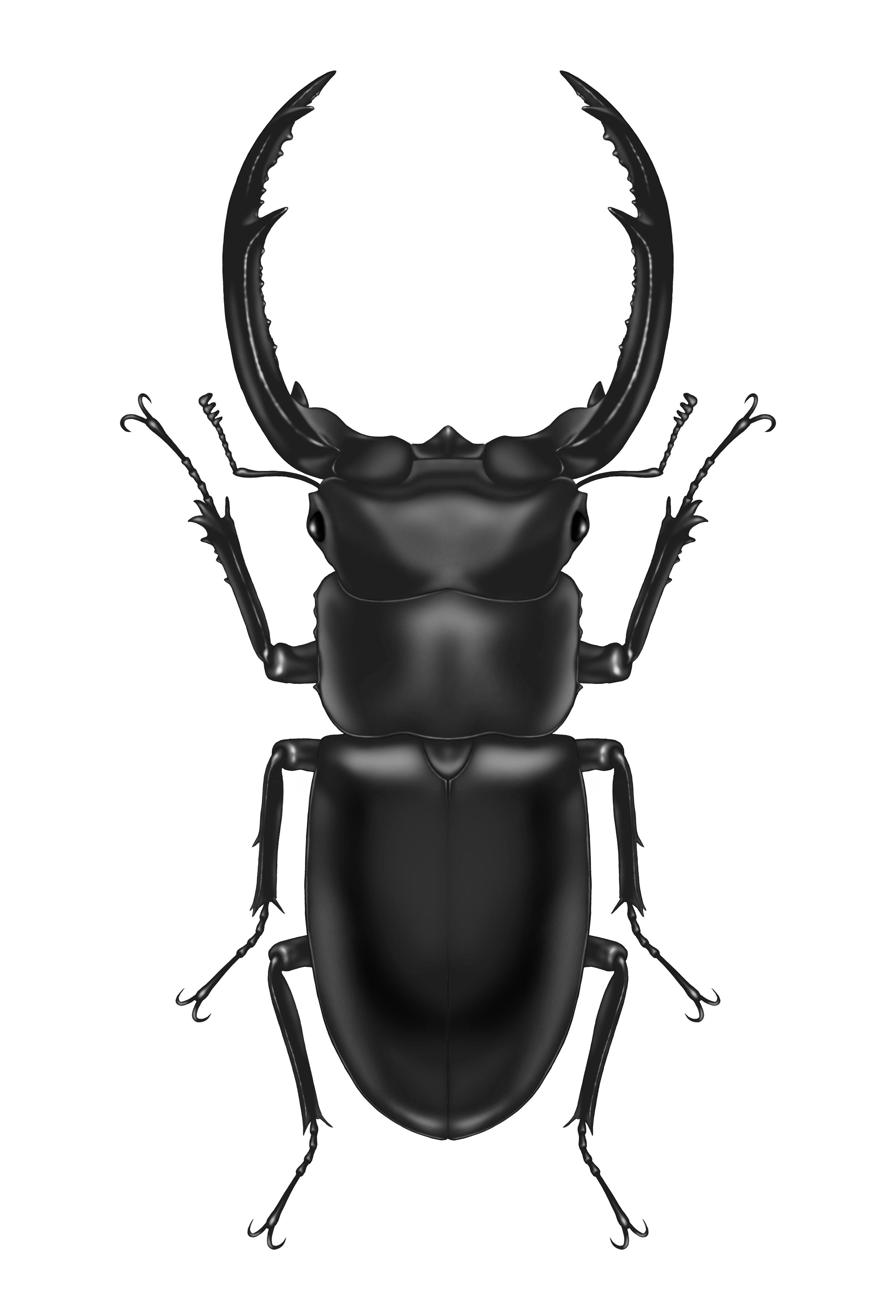 ファンの鏡ですな🏇