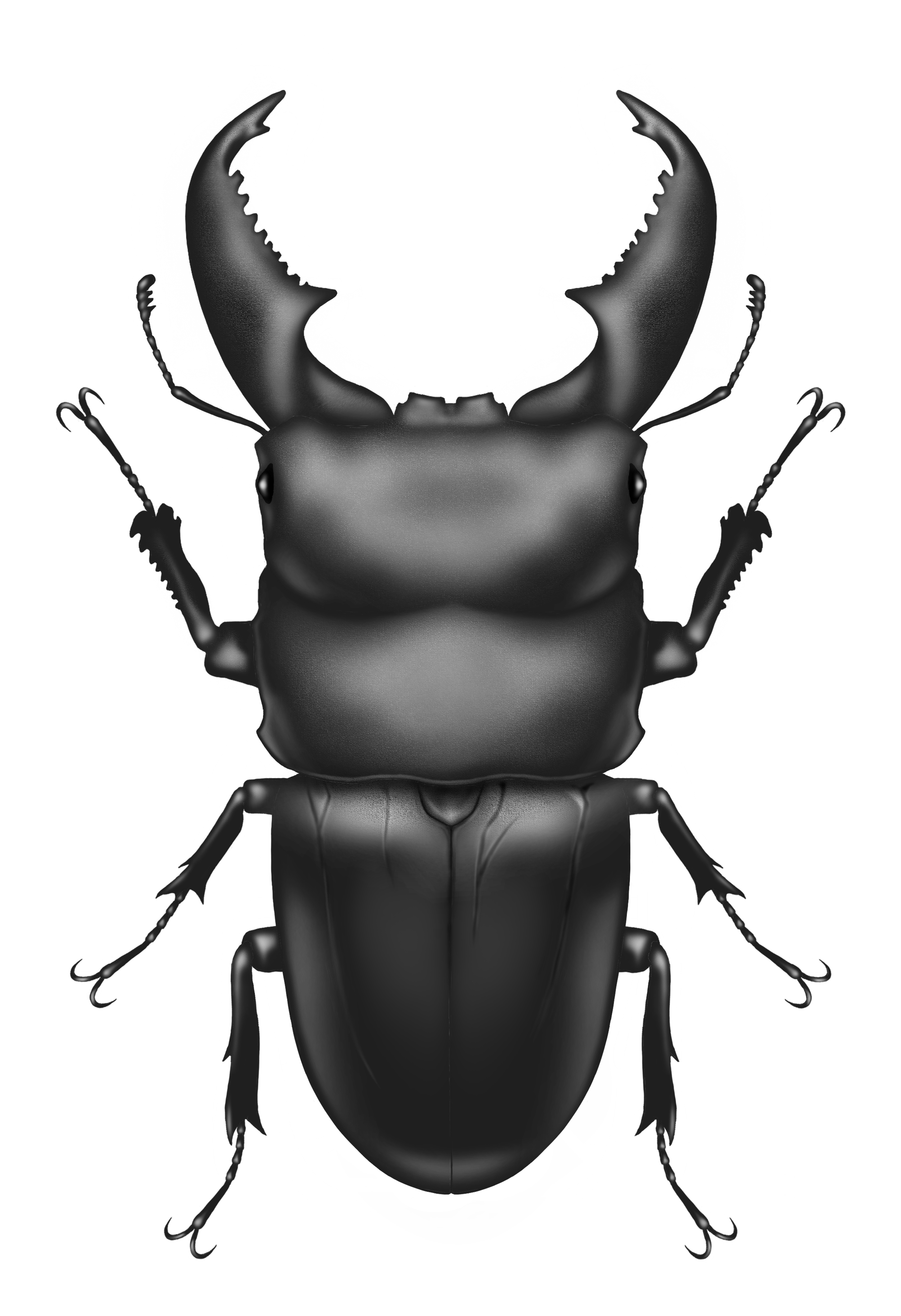 同意は強制するものではありません🍉