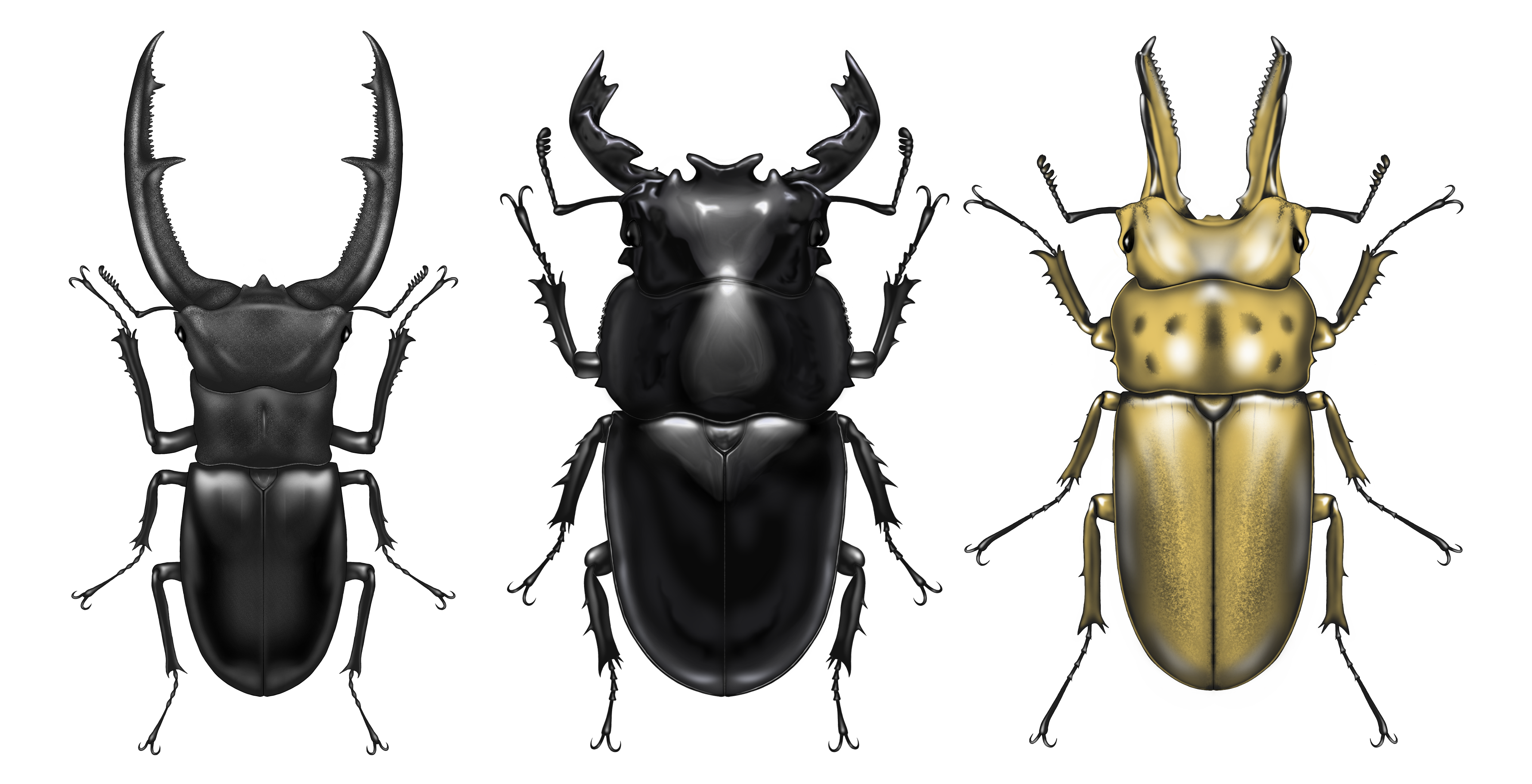 絵師は休業して釣師を再開です🎏