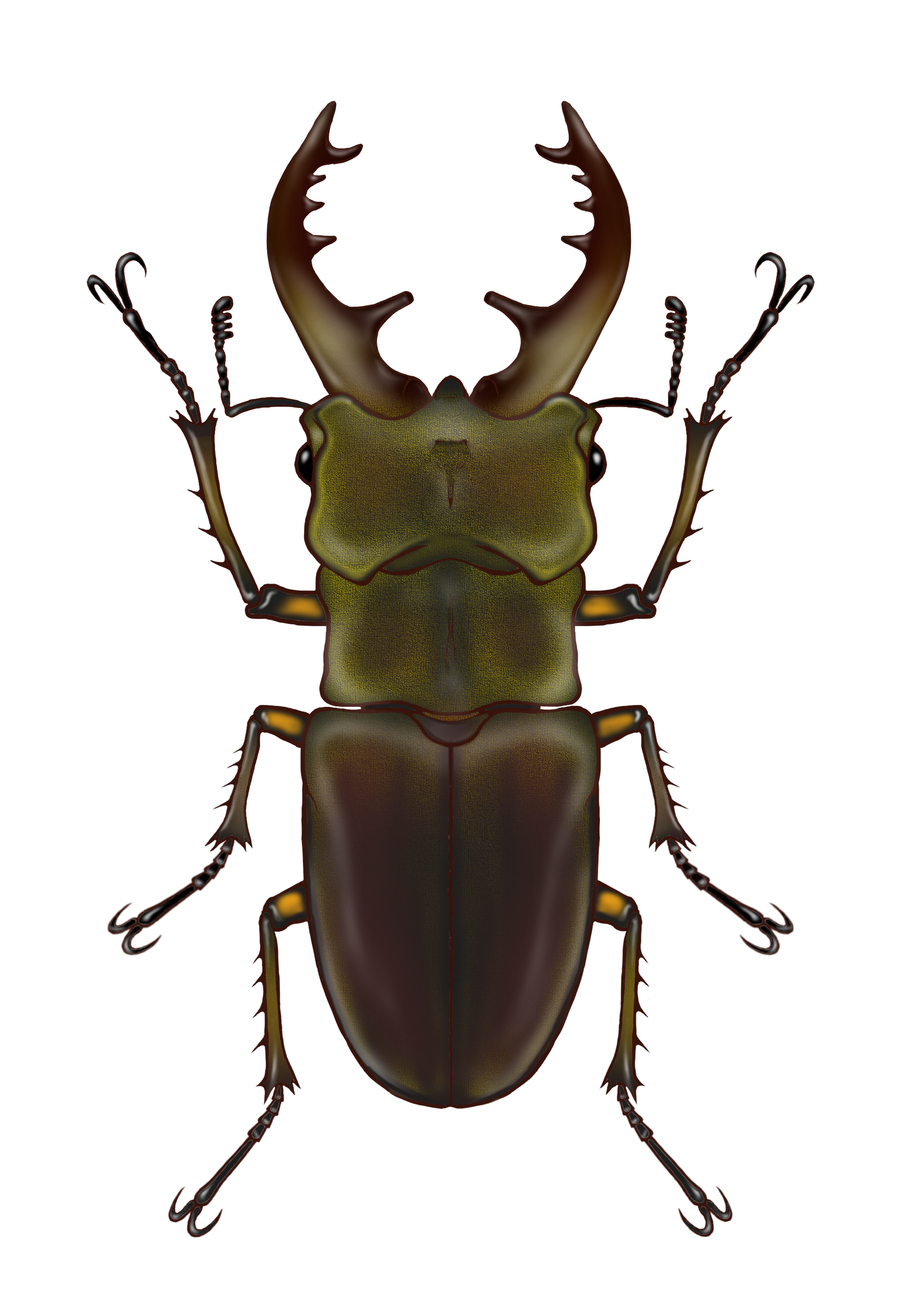 今年は当たり年なのか🎯