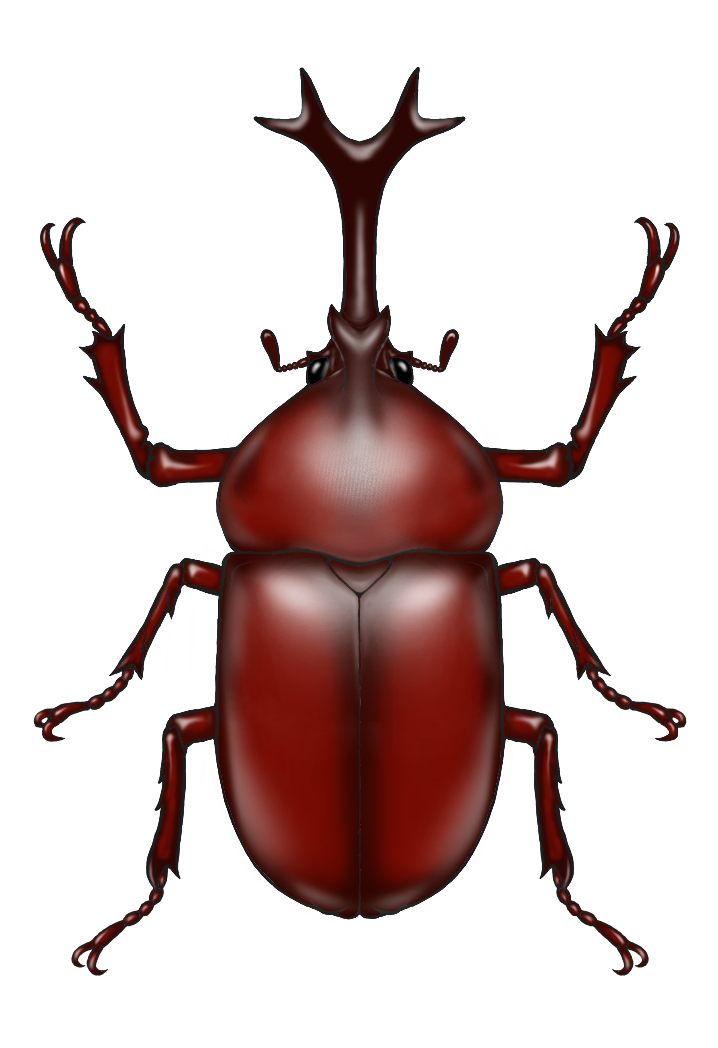 諦めとは愚か者の選択である🐟