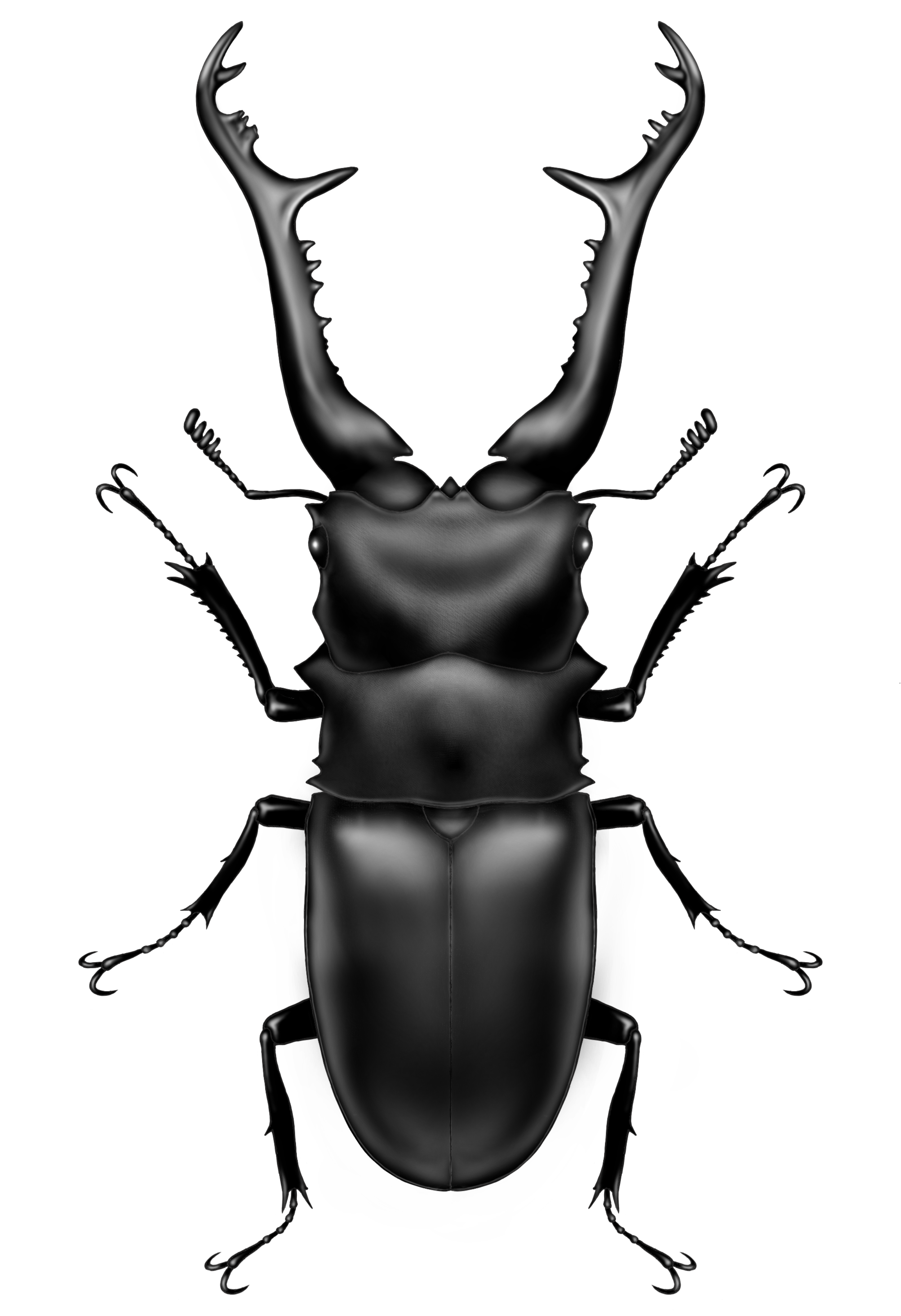 脳ガ痺レル…🍶