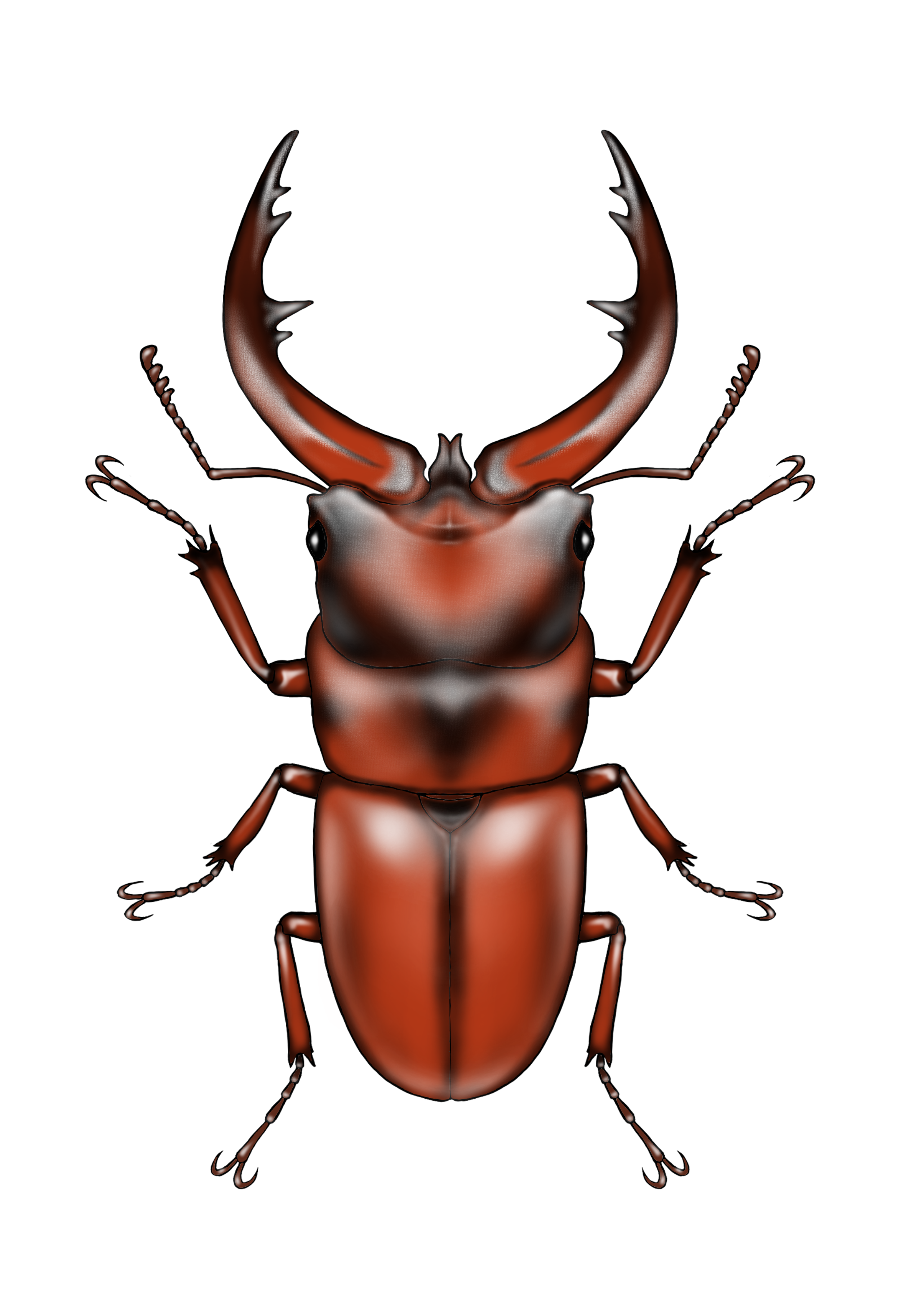 100メートルの彼方より🎣