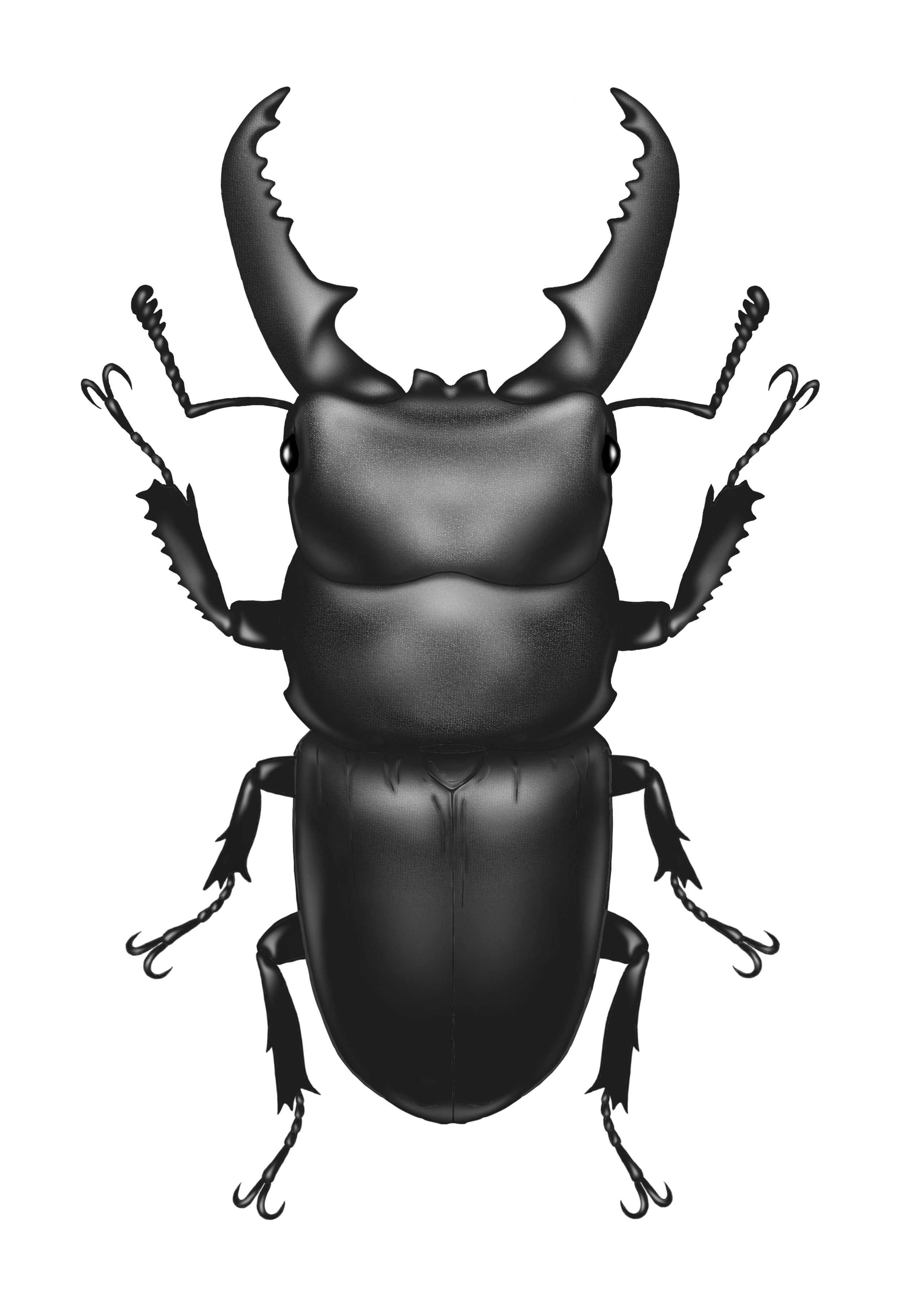 ドカンと来ます突然に😲