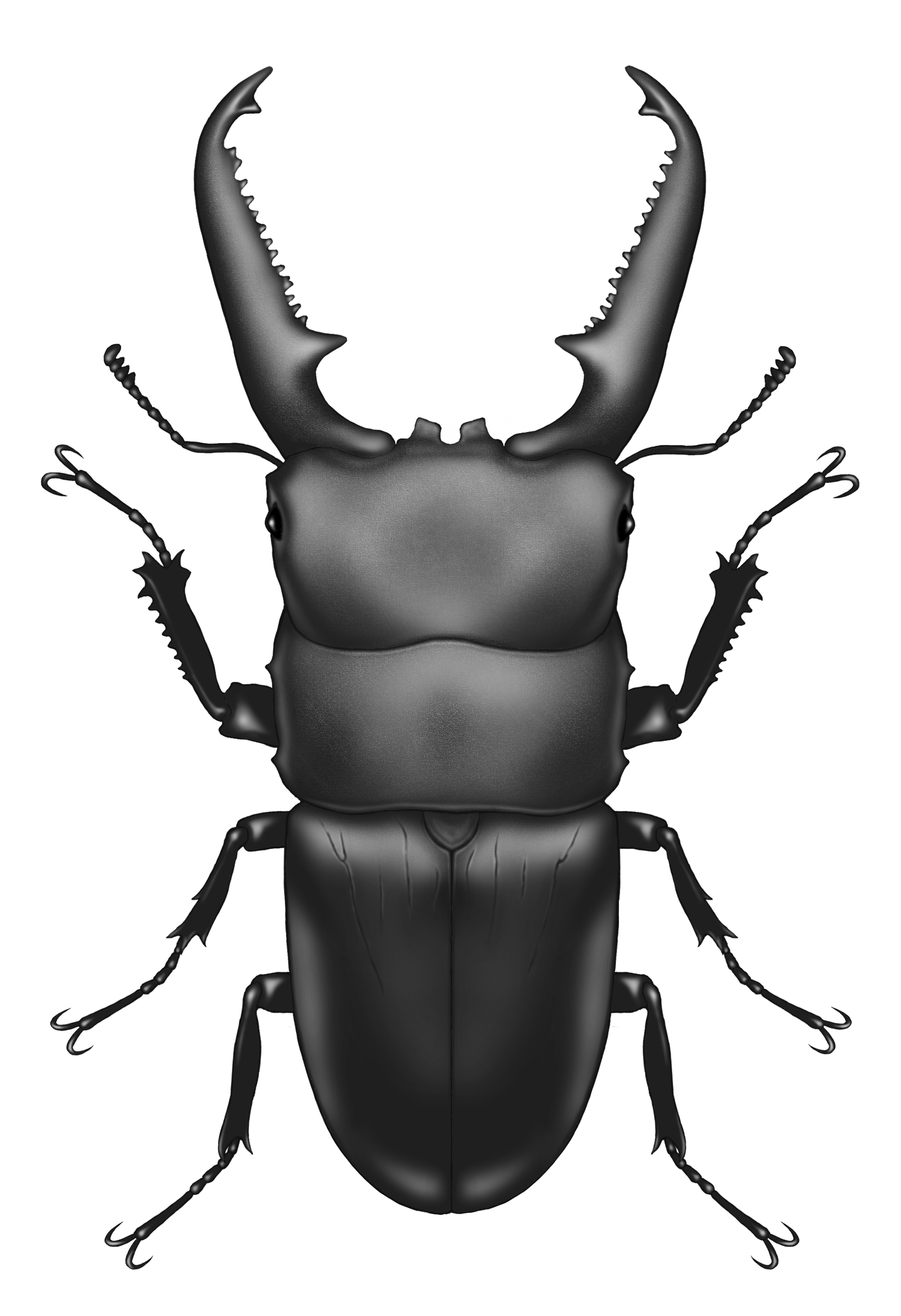 月に叢雲花に風🌙