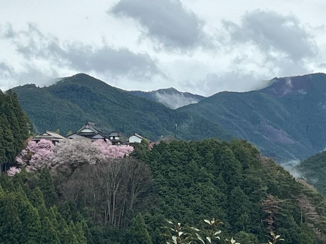 映画『萌の朱雀』のロケ地になった徳善寺に行って来ました。