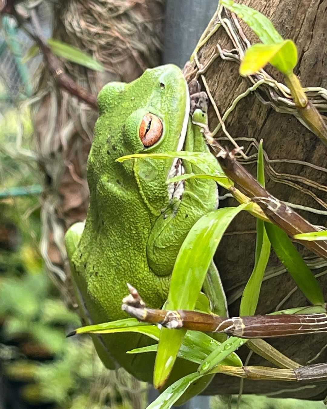 ご存知の方、教えて下さい。