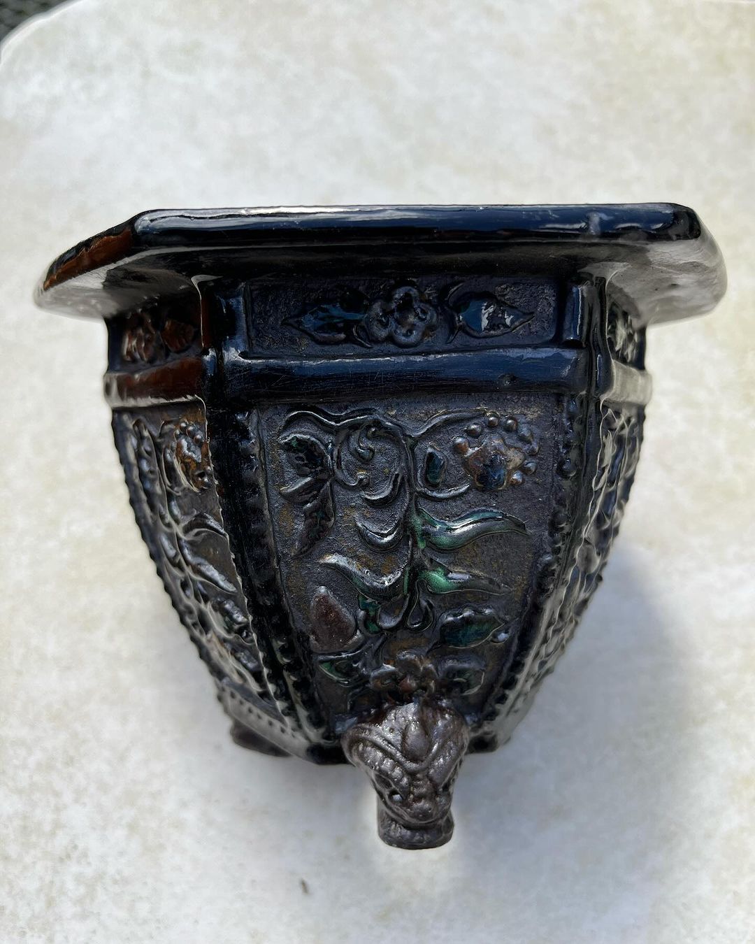 マツバランを植えていました