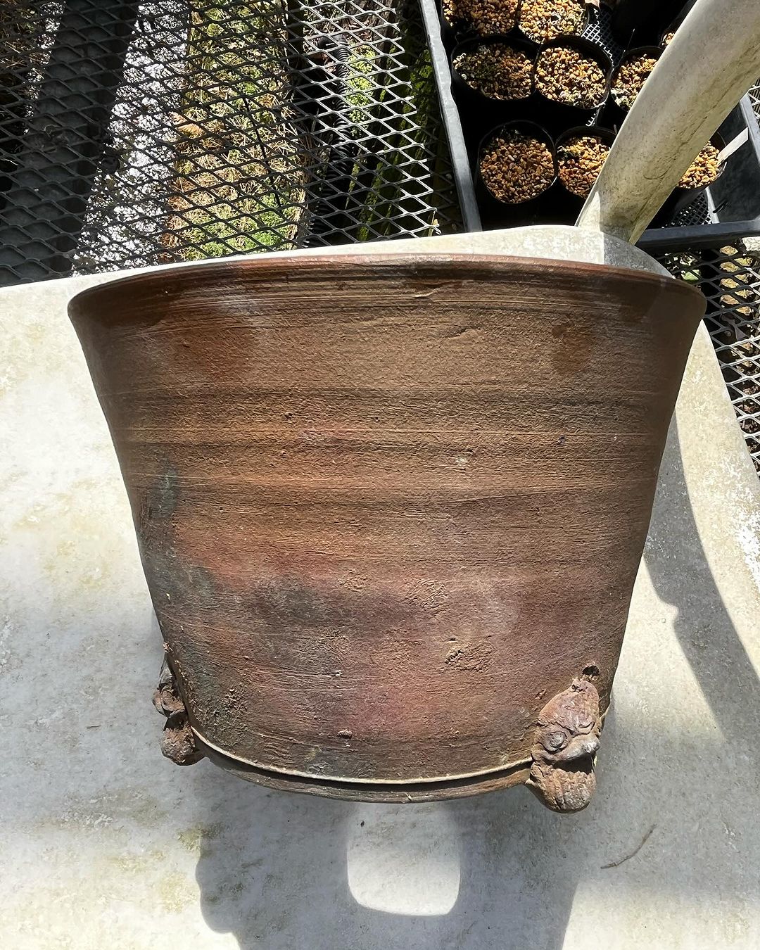 立杭焼　丹山の山草鉢