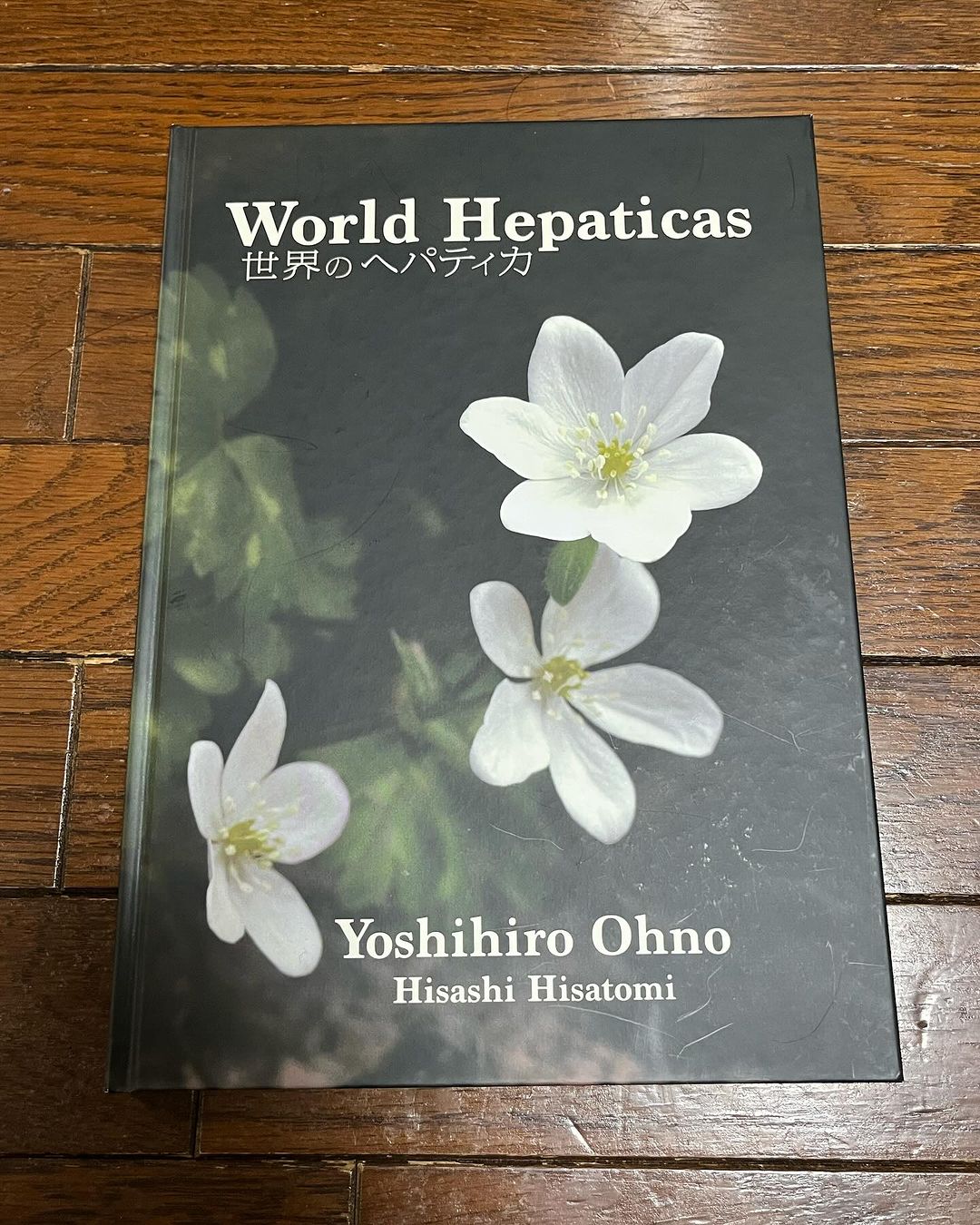 『世界のヘパテイカ』