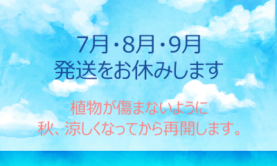 発送お休みのお知らせ