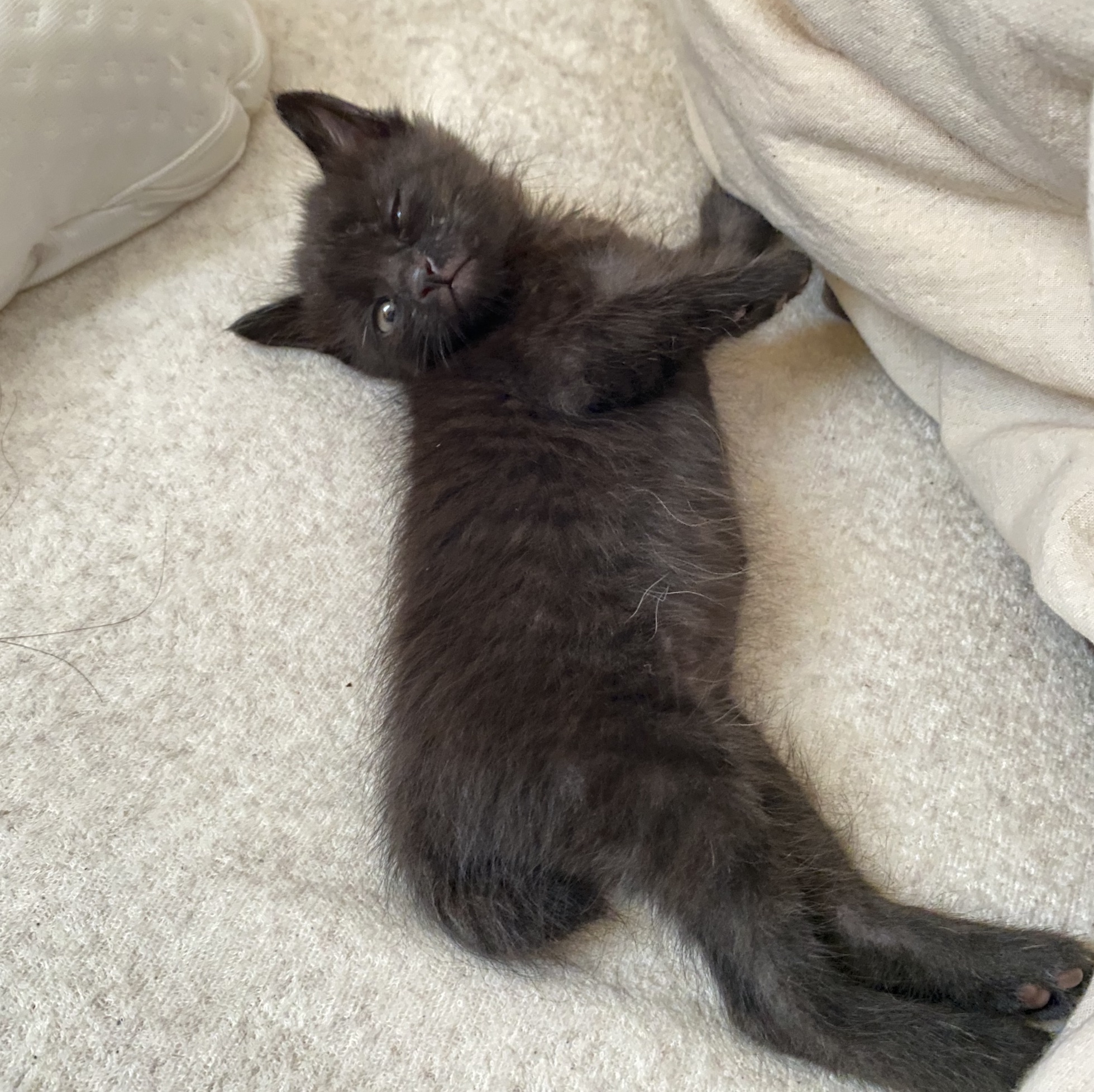 初めまして|【CHIMY VINTAGE チミーヴィンテージ】です