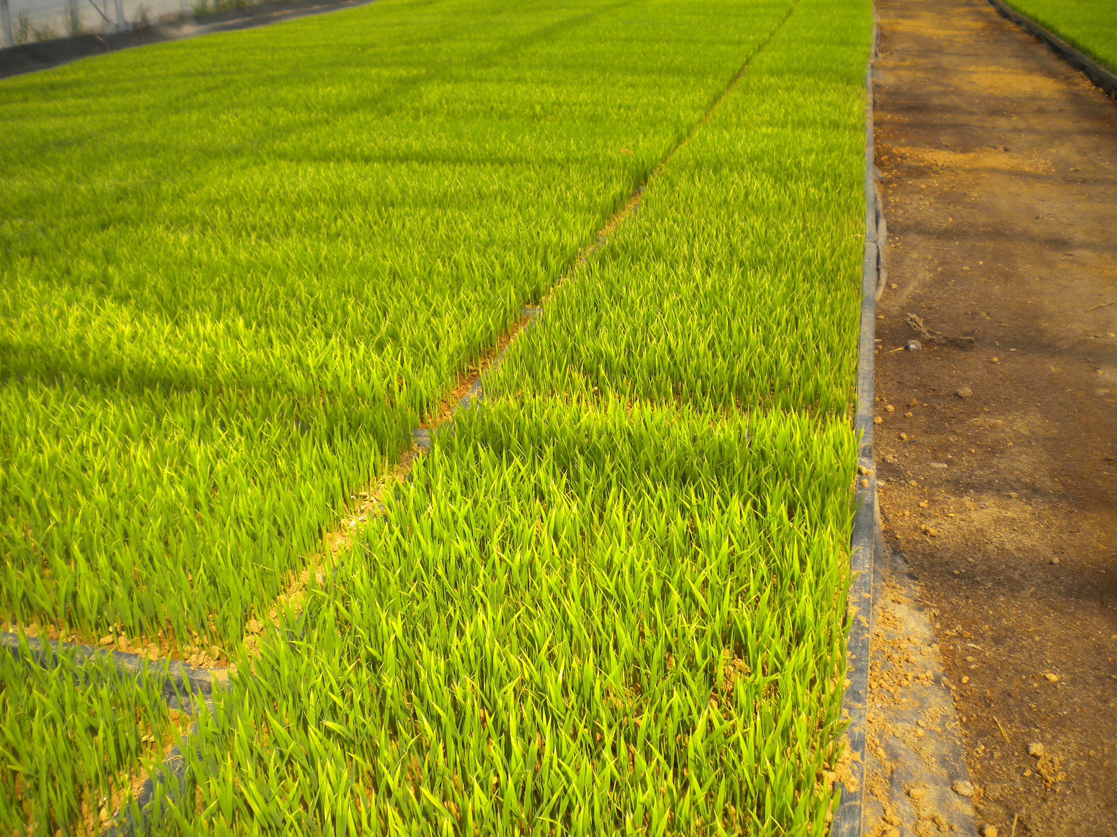 お久しぶりです！