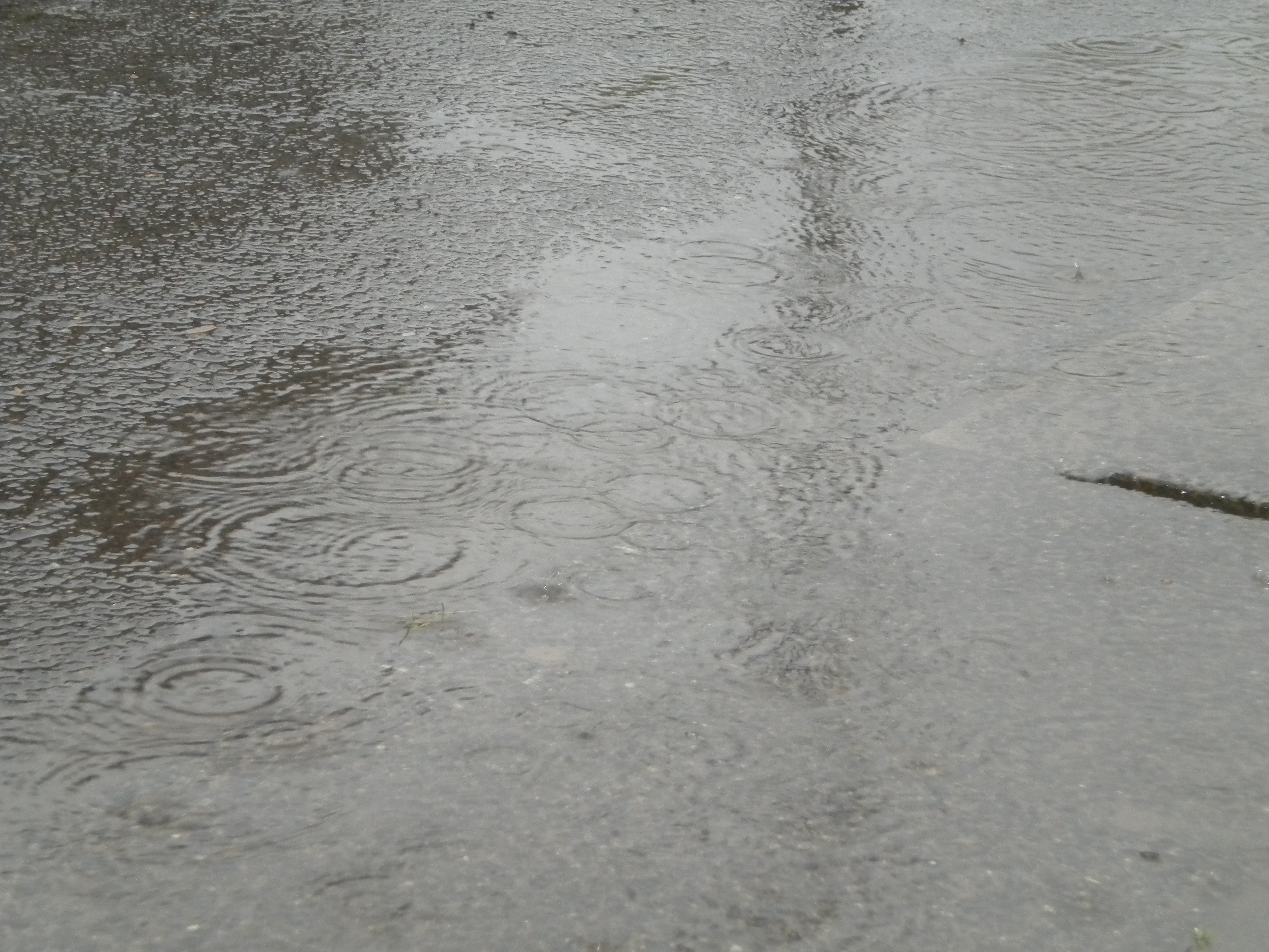 今日の天気は…